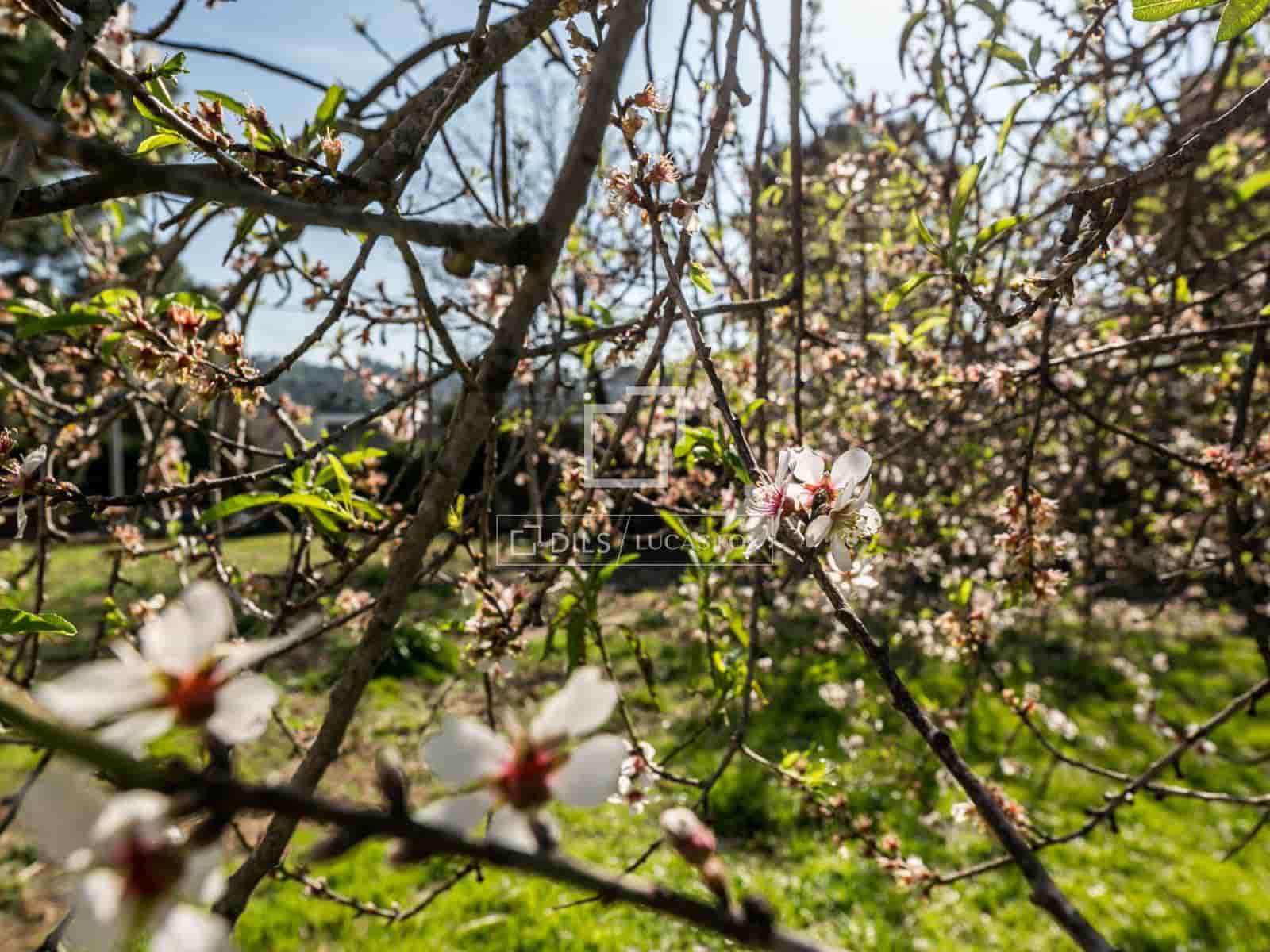 Terrain à Bâtir à vendre à Valldoreix - 1 575 000 € (Ref: 9654446)