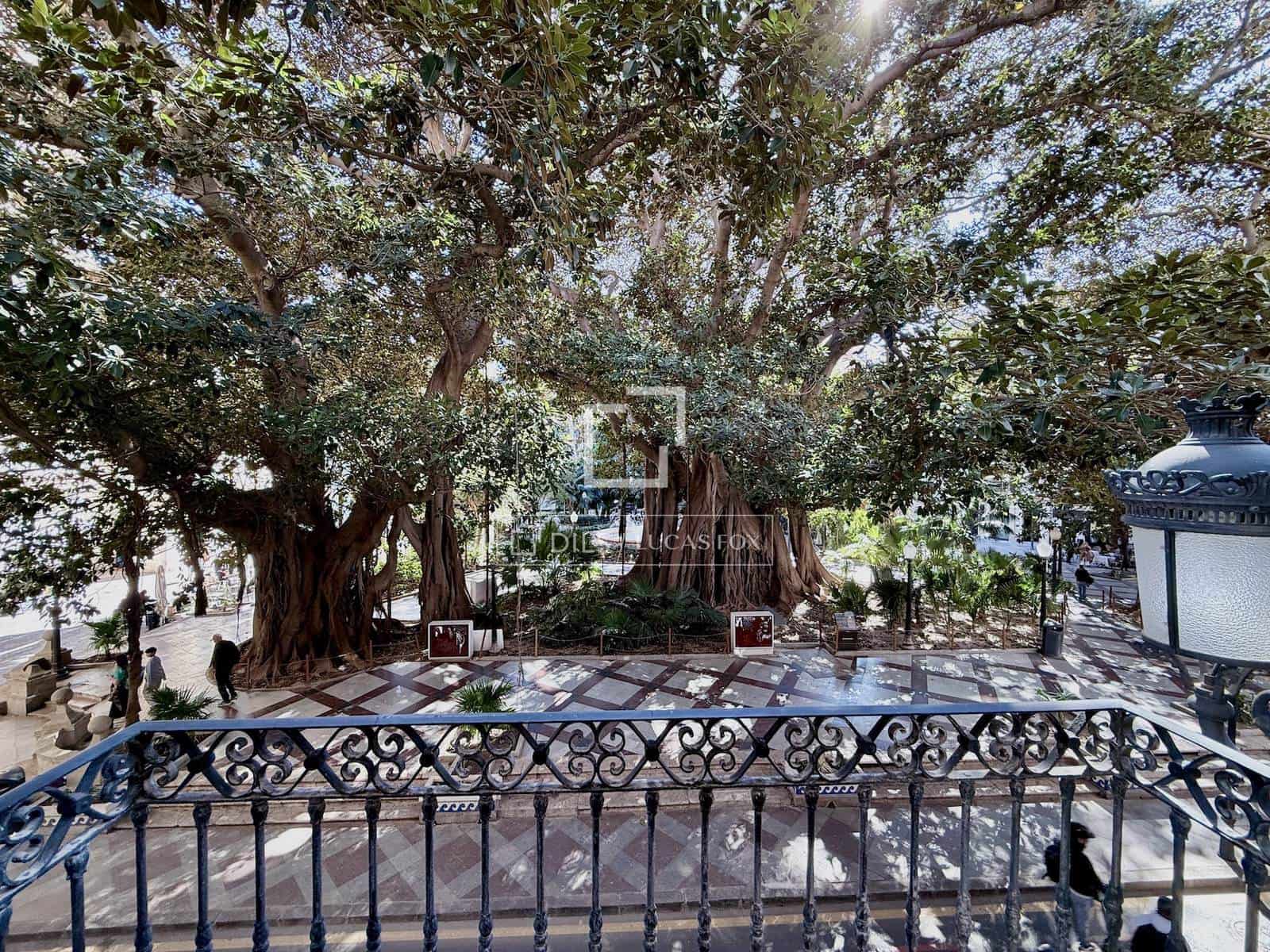 3 makuuhuone Huoneisto vuokrattavana paikassa Alicante kaupunki - 2 300 € (Ref: 9679272)