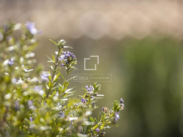 6 sovrum Villa till salu i Dénia med pool garage - 2 800 000 € (Ref: 9688668)