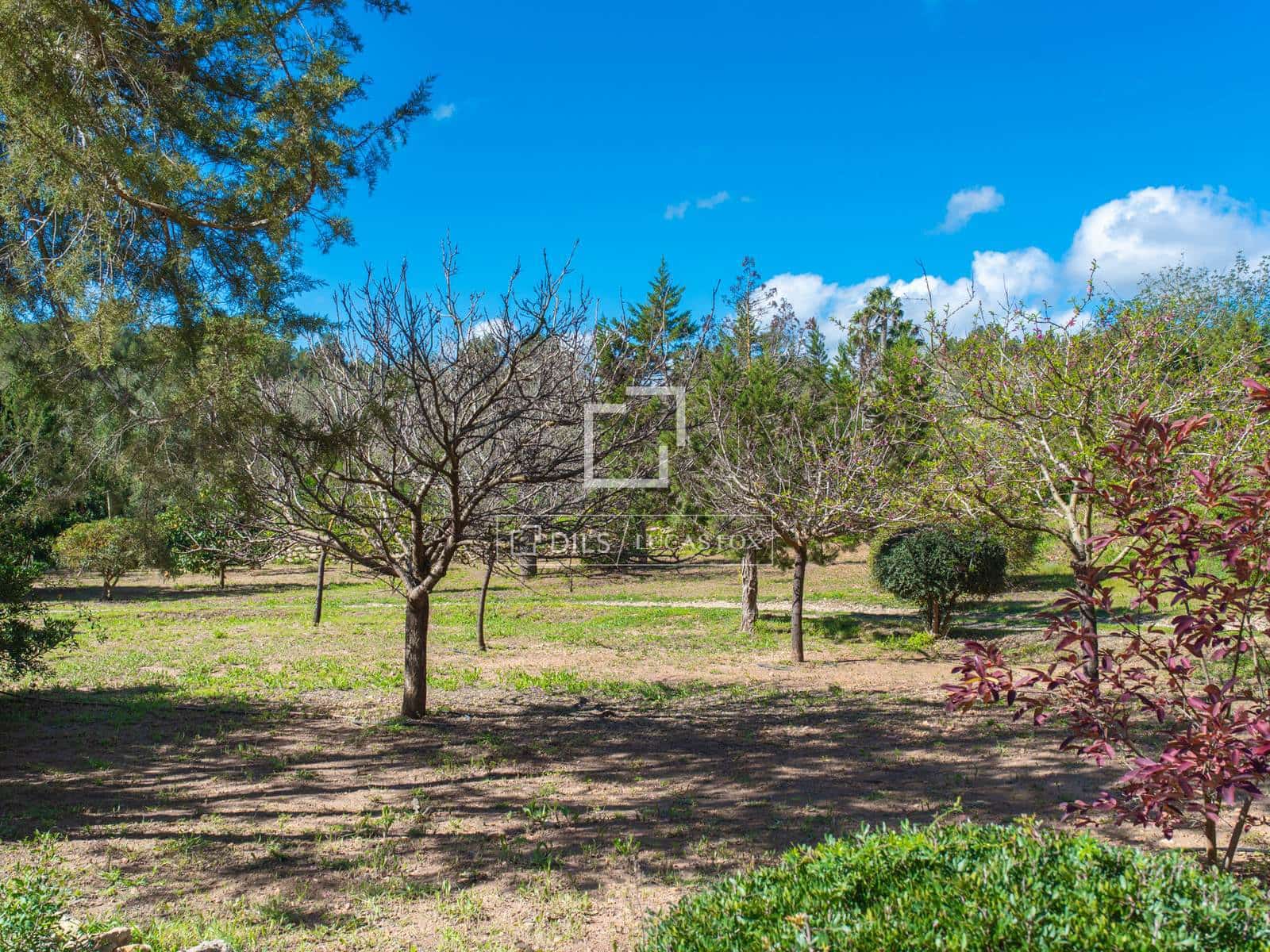 5 bedroom Villa for sale in Nuestra Senora de Jesus with pool garage - € 8,200,000 (Ref: 9696867)