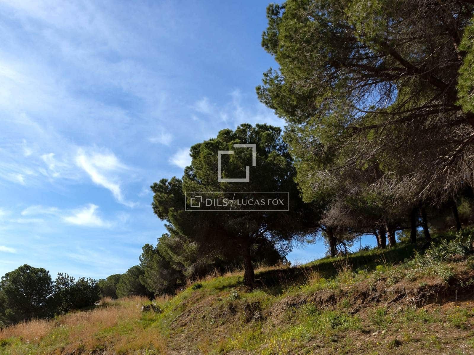 Building Plot for sale in Premia de Dalt - € 725,000 (Ref: 9700062)