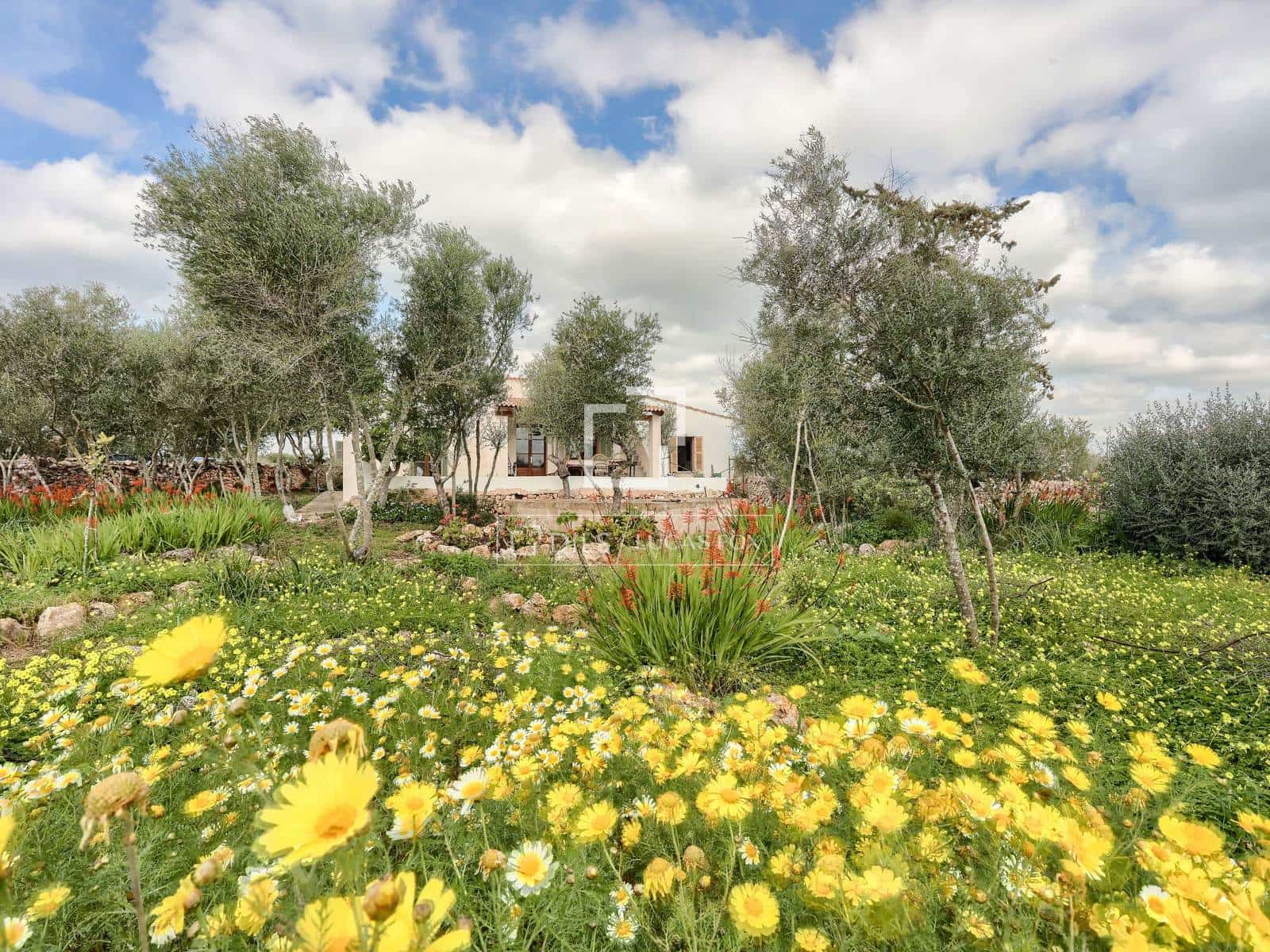 8 bedroom Finca/Country House for sale in Llucmajor with garage - € 4,485,000 (Ref: 9709044)