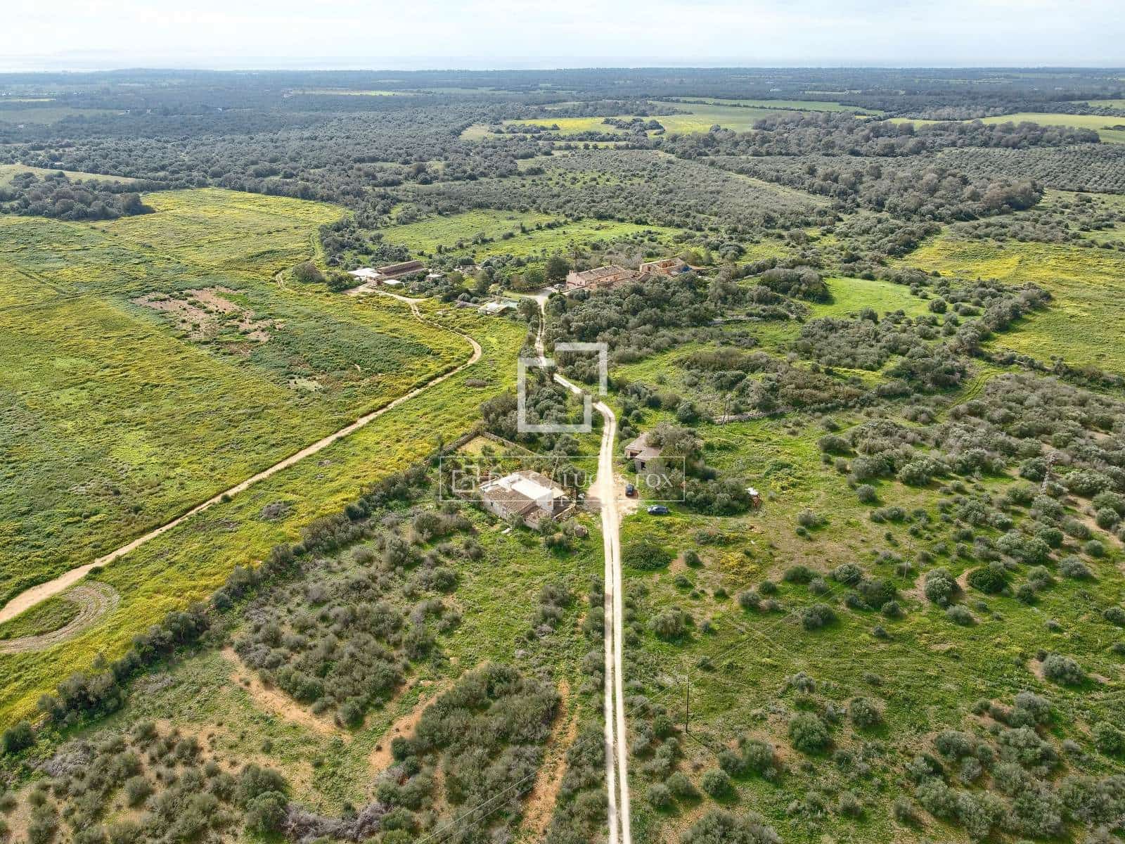 8 bedroom Finca/Country House for sale in Llucmajor with garage - € 4,485,000 (Ref: 9709044)