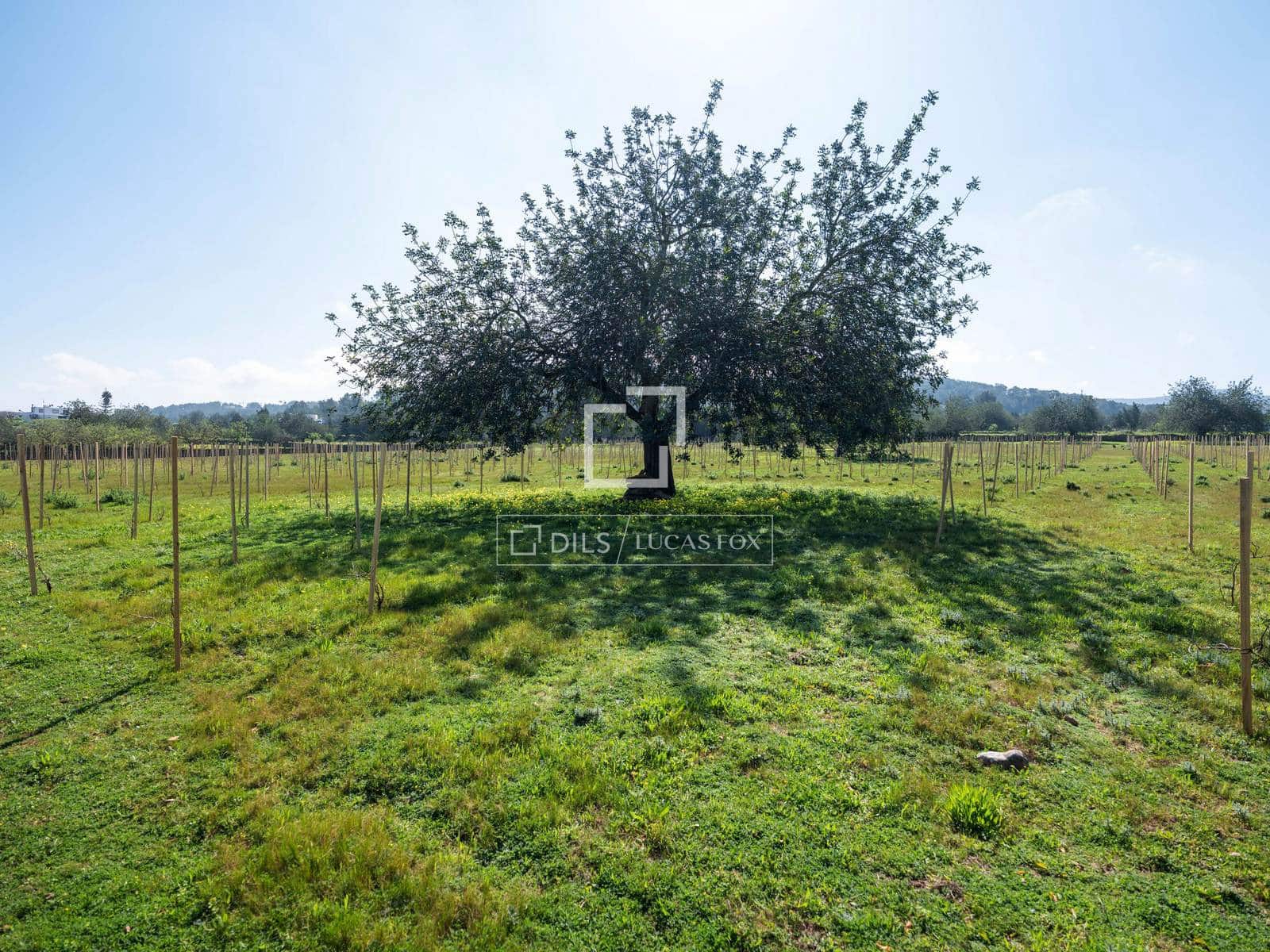 Finca/Country House for sale in Sant Antoni de Portmany - € 850,000 (Ref: 9733875)