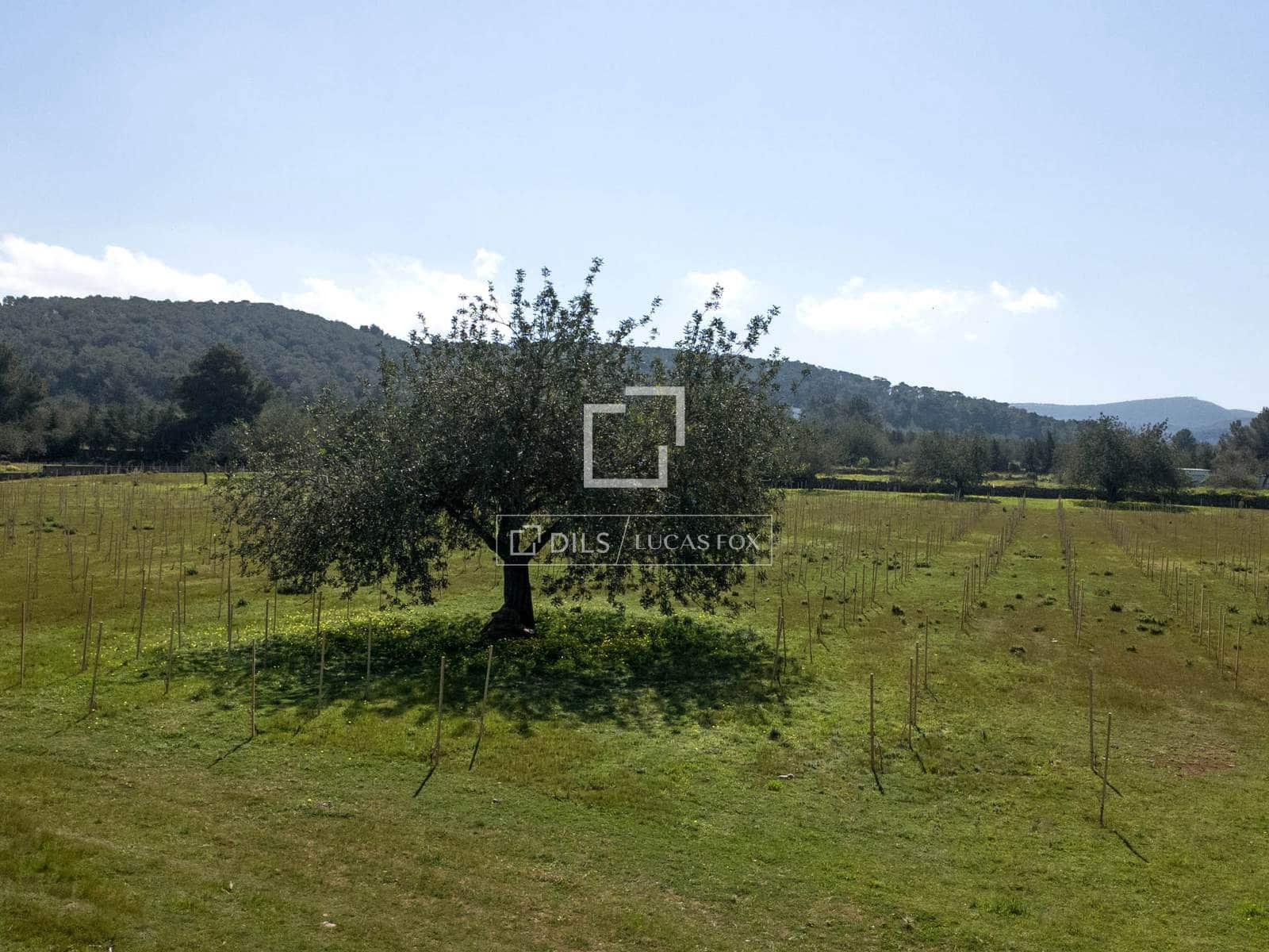 Finca/Country House for sale in Sant Antoni de Portmany - € 850,000 (Ref: 9733875)