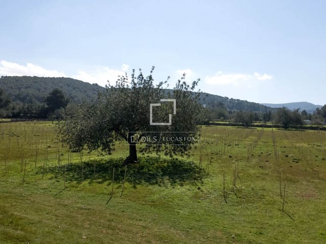 Finca/Maison de Campagne à vendre à Sant Antoni de Portmany - 850 000 € (Ref: 9733875)