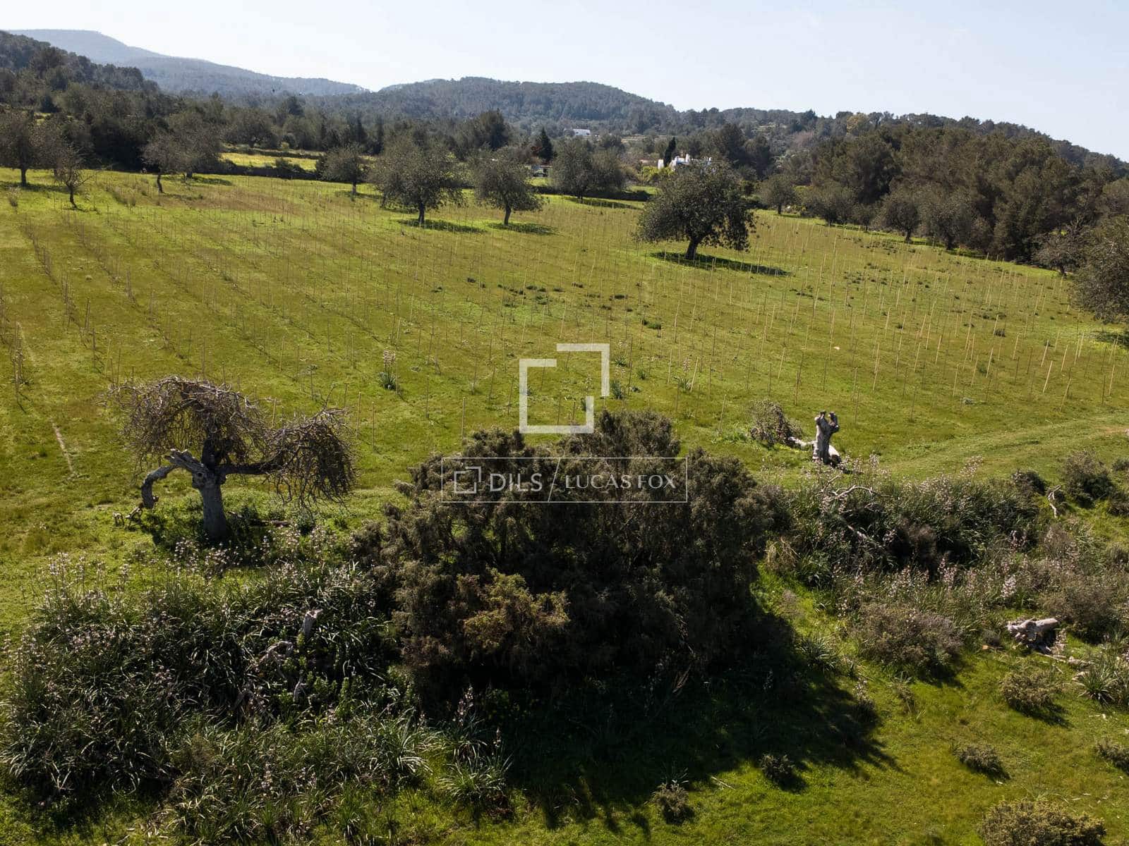 Finca/Country House for sale in Sant Antoni de Portmany - € 850,000 (Ref: 9733875)