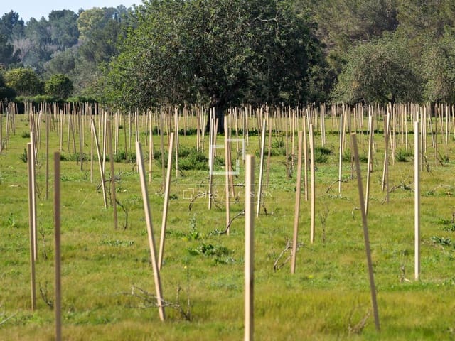 Finca/Maison de Campagne à vendre à Sant Antoni de Portmany - 850 000 € (Ref: 9733875)
