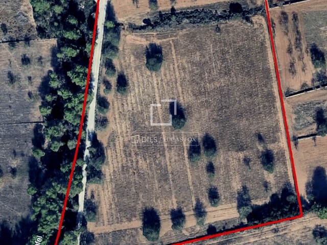 Finca/Maison de Campagne à vendre à Sant Antoni de Portmany - 850 000 € (Ref: 9733875)