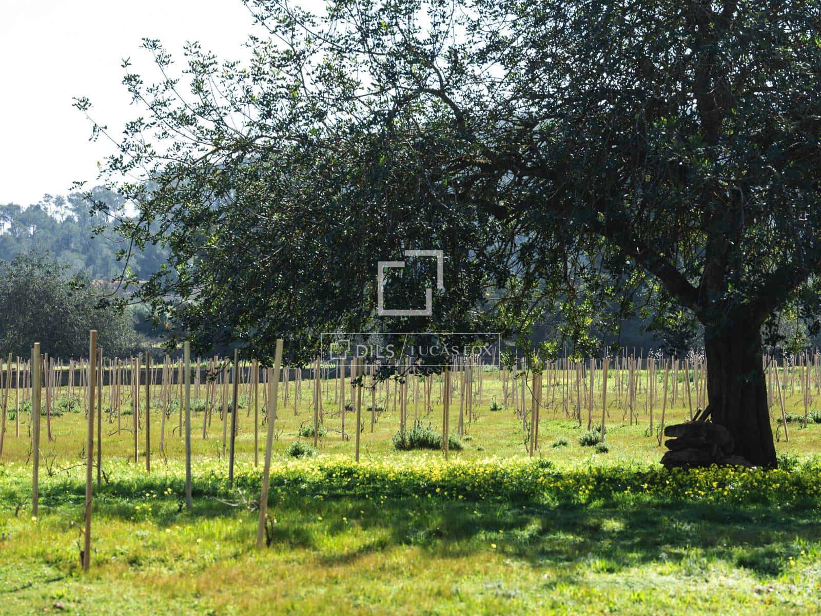 Finca/Country House for sale in Sant Antoni de Portmany - € 850,000 (Ref: 9733875)