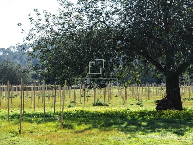 Finca/Maison de Campagne à vendre à Sant Antoni de Portmany - 850 000 € (Ref: 9733875)