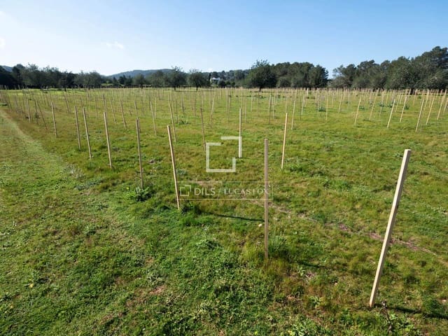 Finca/Maison de Campagne à vendre à Sant Antoni de Portmany - 850 000 € (Ref: 9733875)