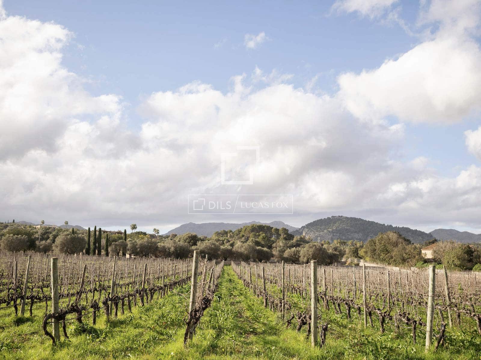 6 chambre Villa/Maison à vendre à Pollensa / Pollenca avec piscine garage - 7 650 000 € (Ref: 9736114)