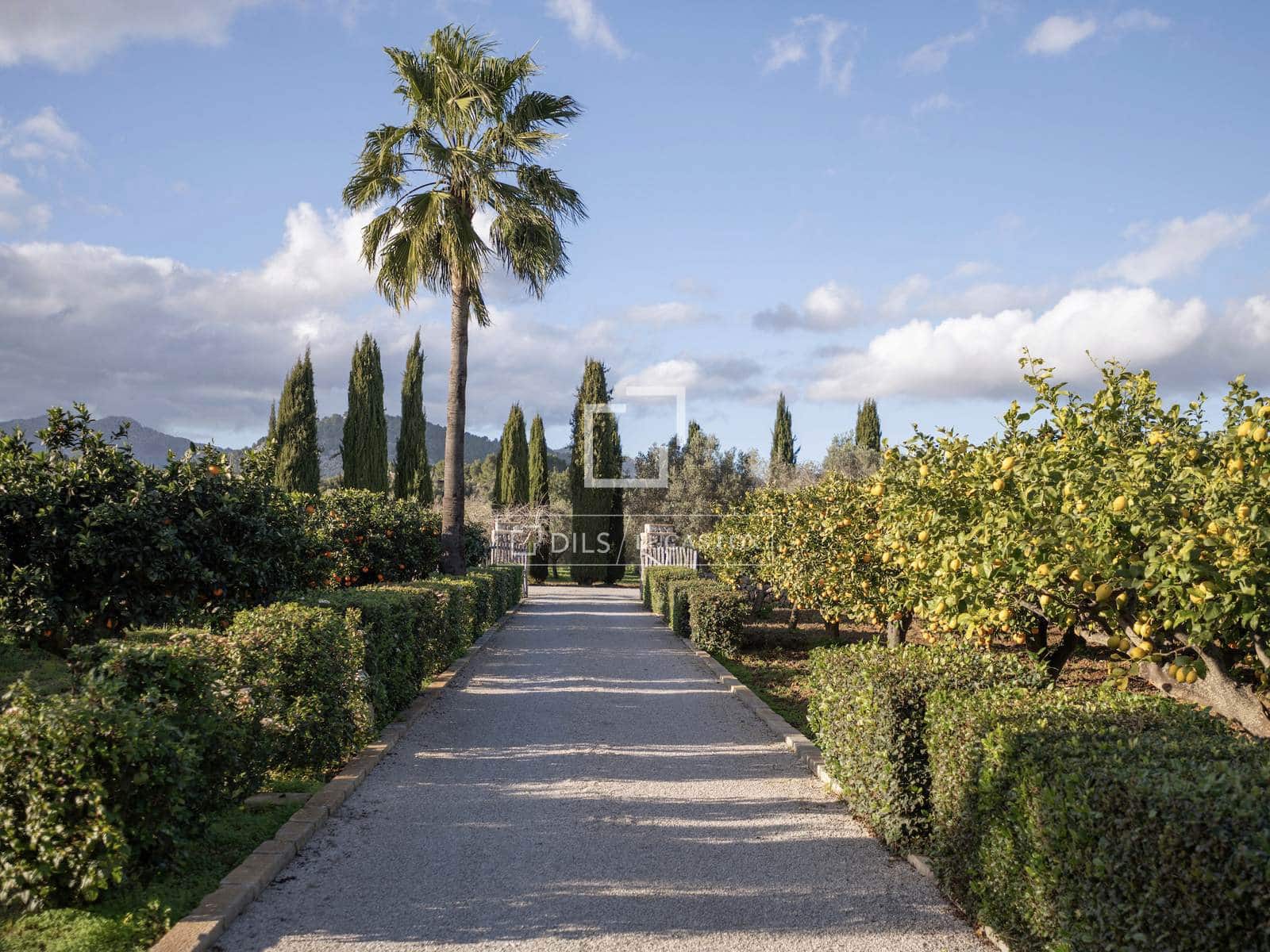 6 chambre Villa/Maison à vendre à Pollensa / Pollenca avec piscine garage - 7 650 000 € (Ref: 9736114)