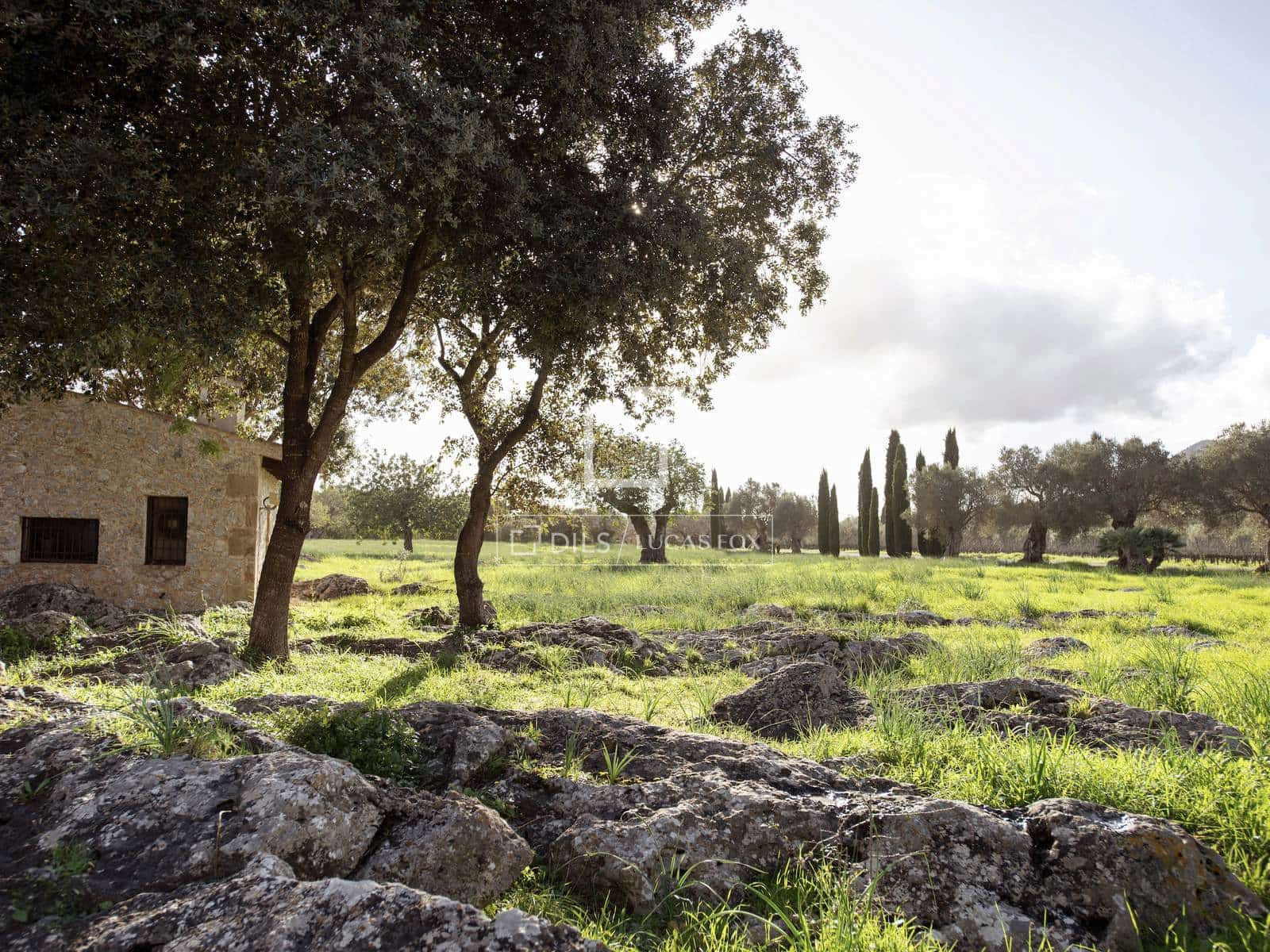 6 chambre Villa/Maison à vendre à Pollensa / Pollenca avec piscine garage - 7 650 000 € (Ref: 9736114)