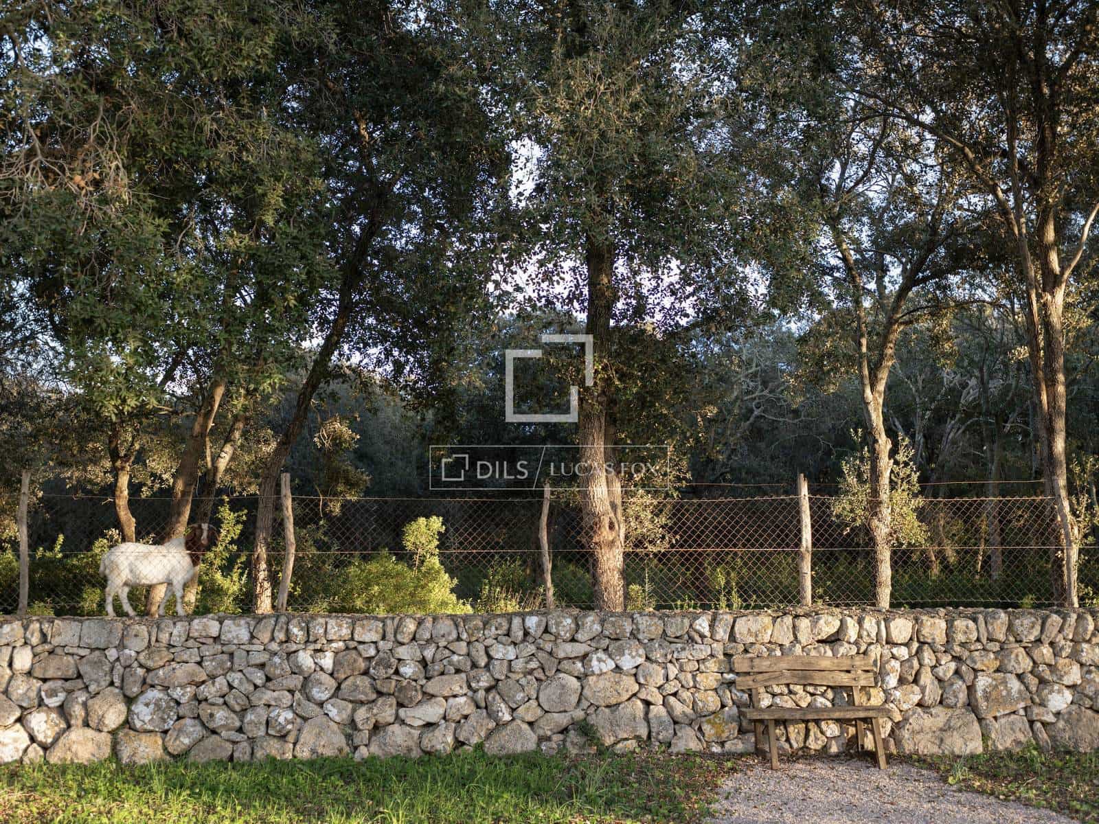 6 chambre Villa/Maison à vendre à Pollensa / Pollenca avec piscine garage - 7 650 000 € (Ref: 9736114)