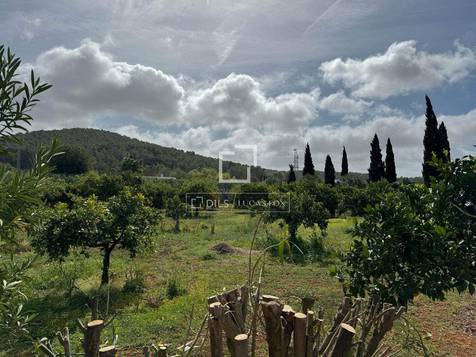 5 bedroom Finca/Country House for sale in Santa Gertrudis de Fruitera with garage - € 3,000,000 (Ref: 9737265)