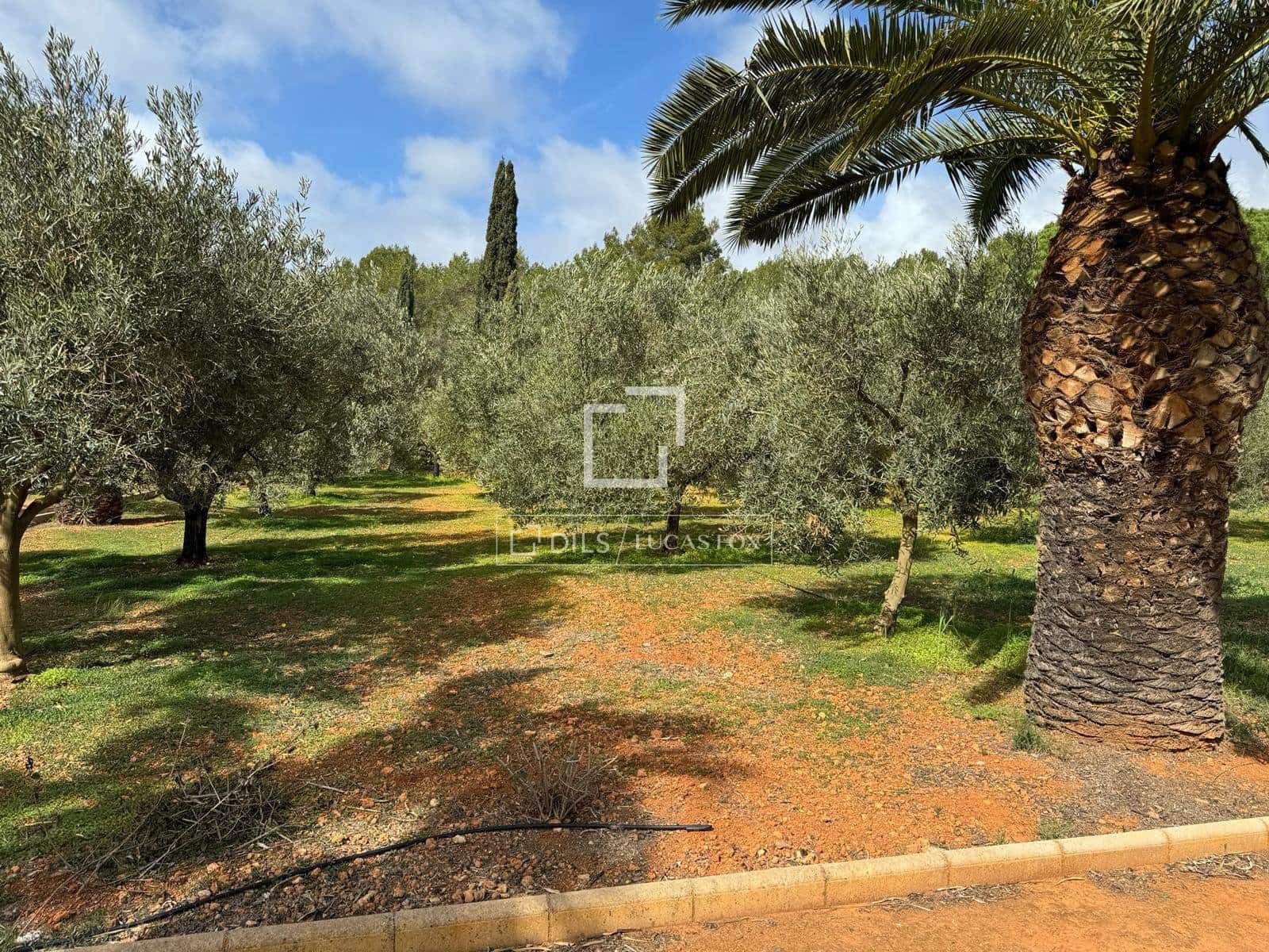 5 bedroom Finca/Country House for sale in Santa Gertrudis de Fruitera with garage - € 3,000,000 (Ref: 9737265)