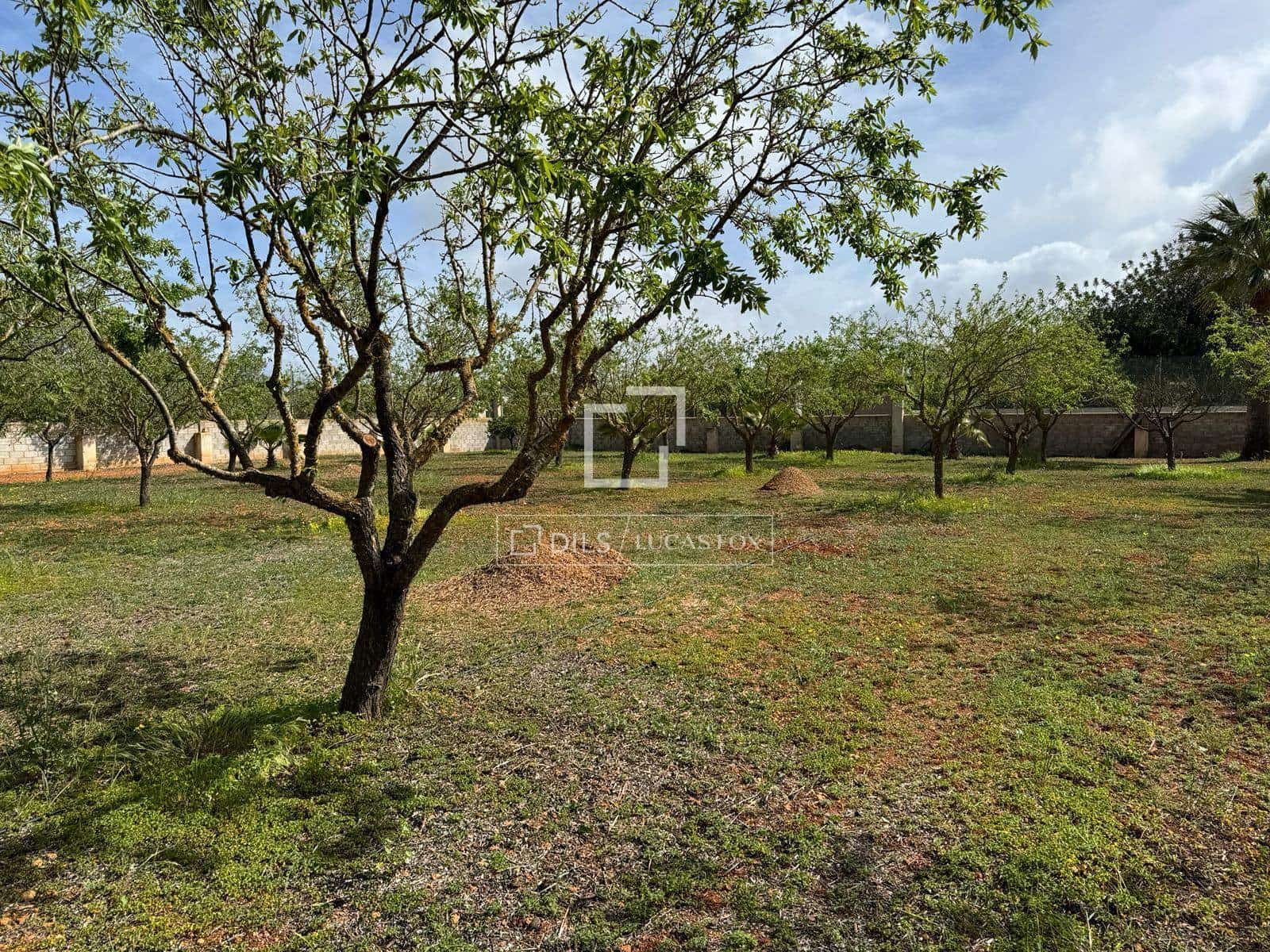 5 bedroom Finca/Country House for sale in Santa Gertrudis de Fruitera with garage - € 3,000,000 (Ref: 9737265)