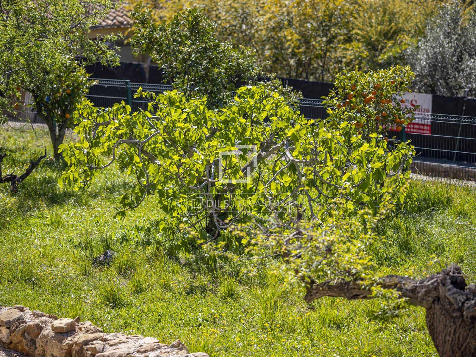 5 Zimmer Villa zu verkaufen in Jesus Pobre mit Pool Garage - 485.000 € (Ref: 9740186)