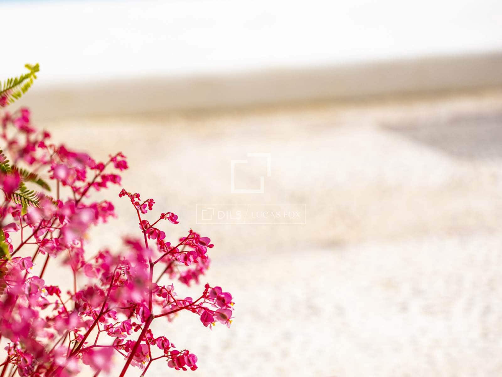 3 bedroom Villa for sale in Denia with pool garage - € 799,000 (Ref: 9752459)