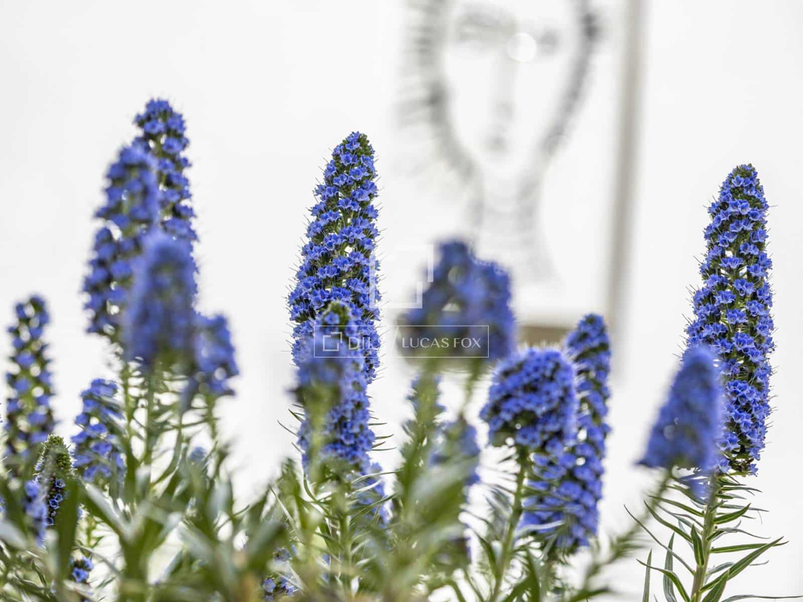 3 bedroom Villa for sale in Denia with pool garage - € 799,000 (Ref: 9752459)