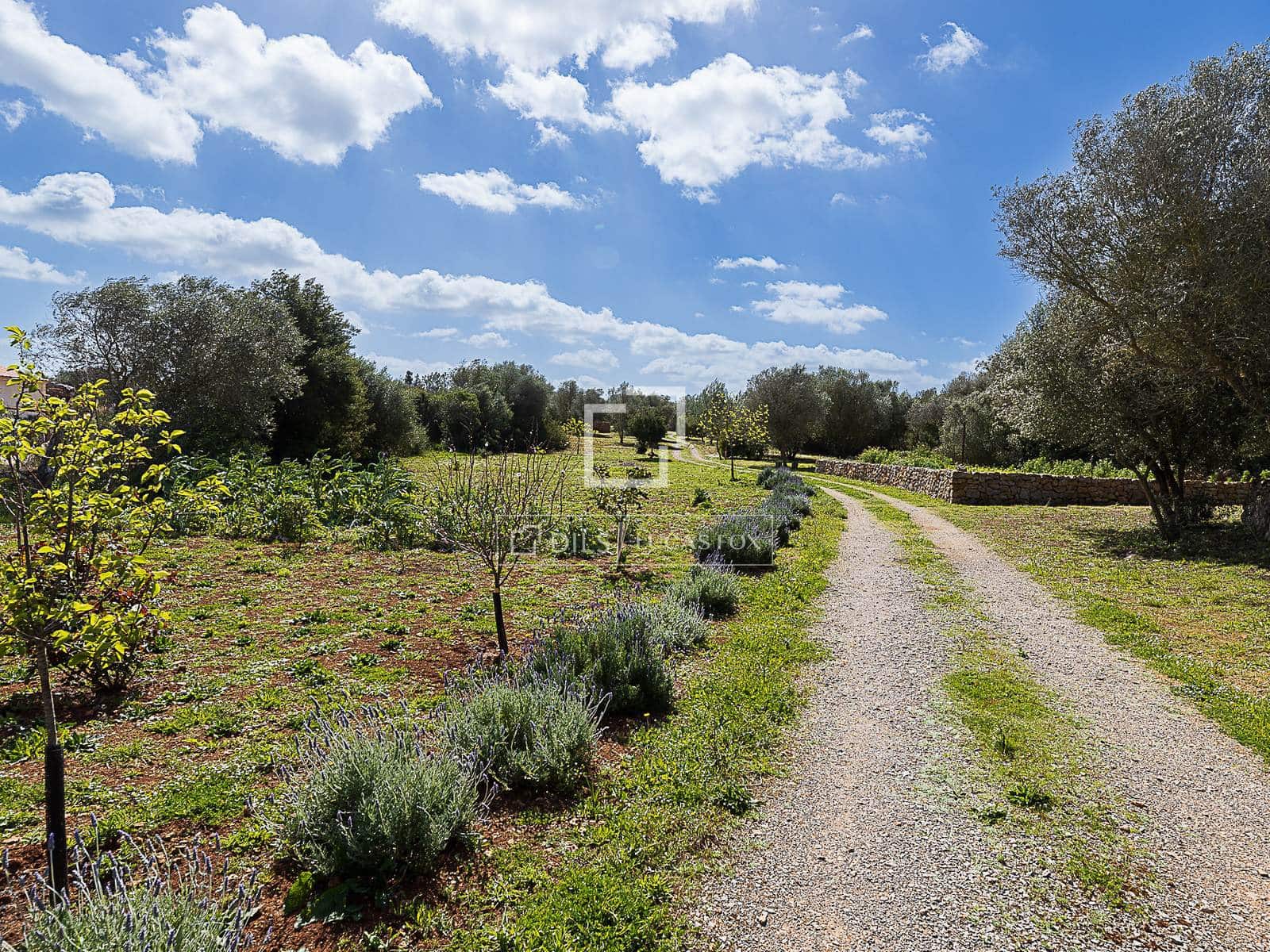 2 Zimmer Finca/Landgut zu verkaufen in Manacor mit Pool Garage - 675.000 € (Ref: 9766823)