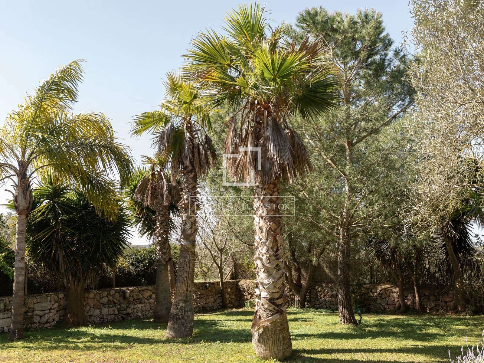 4 soverom Finca/Herregård til salgs i Algaida med svømmebasseng garasje - € 1 390 000 (Ref: 9778989)