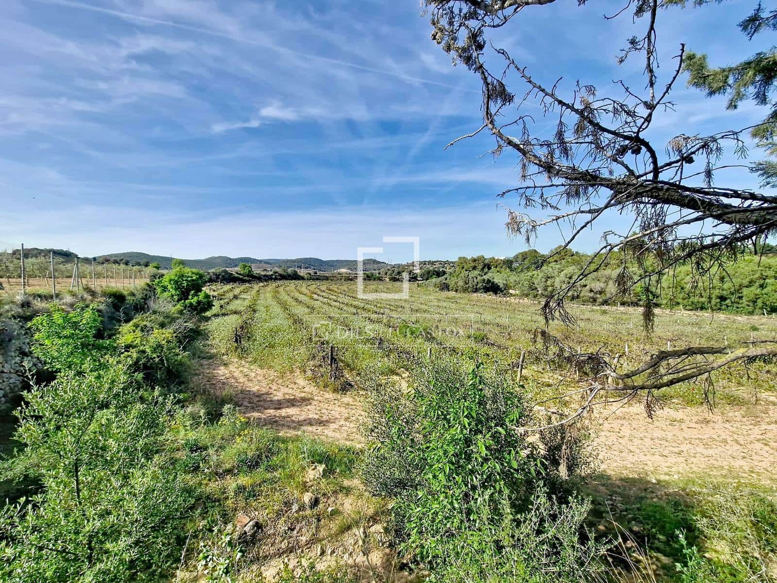 5 soverom Finca/Herregård til salgs i Vilanova i la Geltru med svømmebasseng garasje - € 2 600 000 (Ref: 9779946)