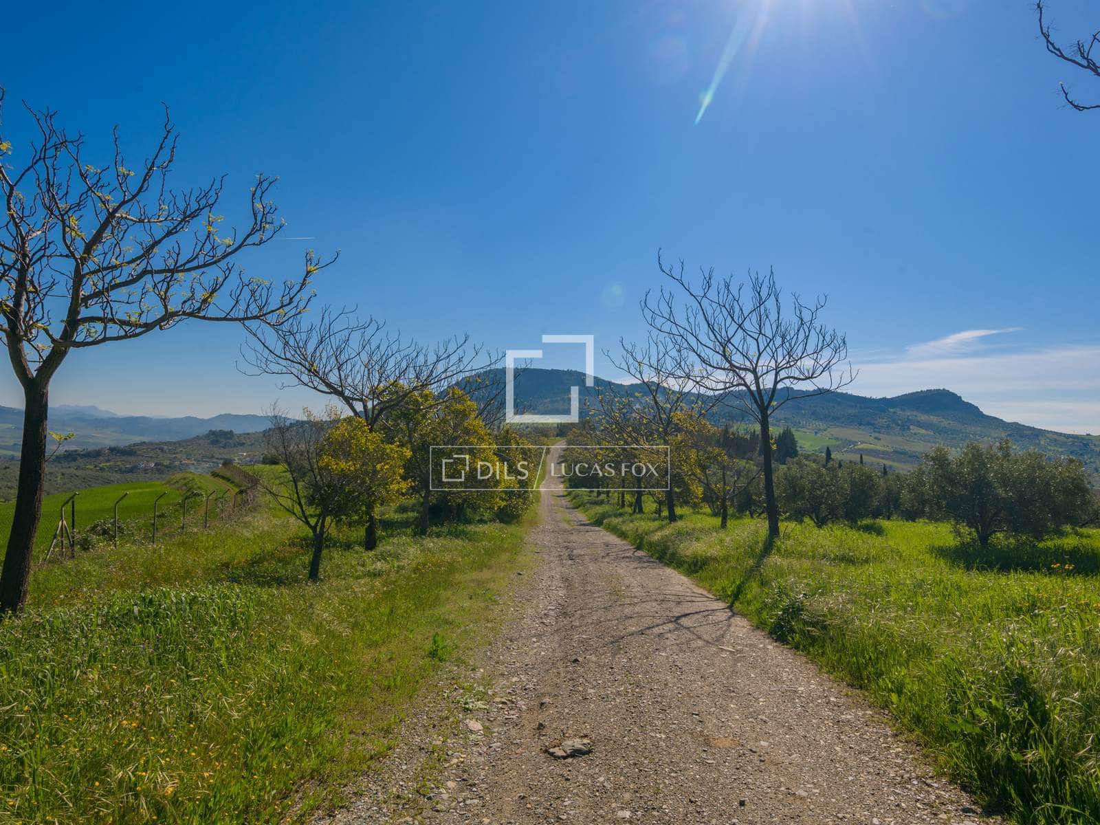 7 bedroom Finca/Country House for sale in Alora with pool garage - € 1,290,000 (Ref: 9781331)