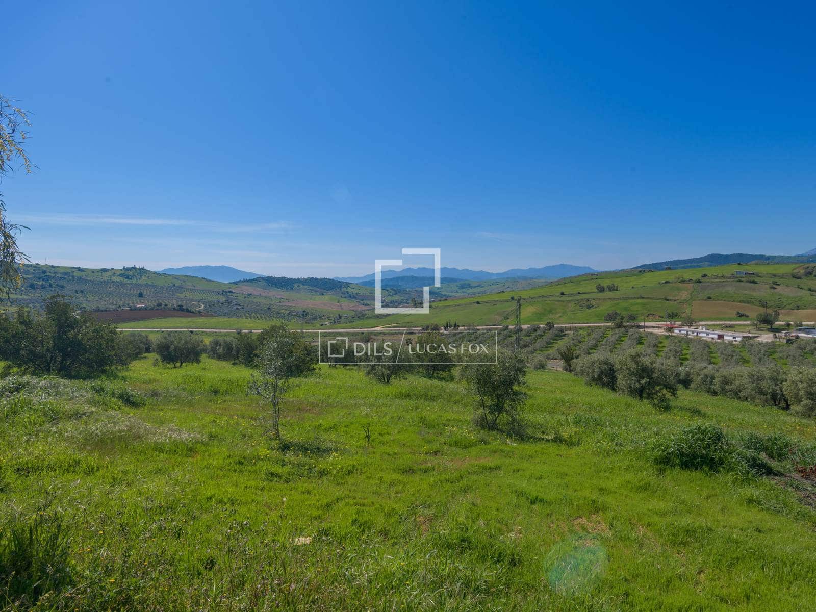 7 bedroom Finca/Country House for sale in Alora with pool garage - € 1,290,000 (Ref: 9781331)