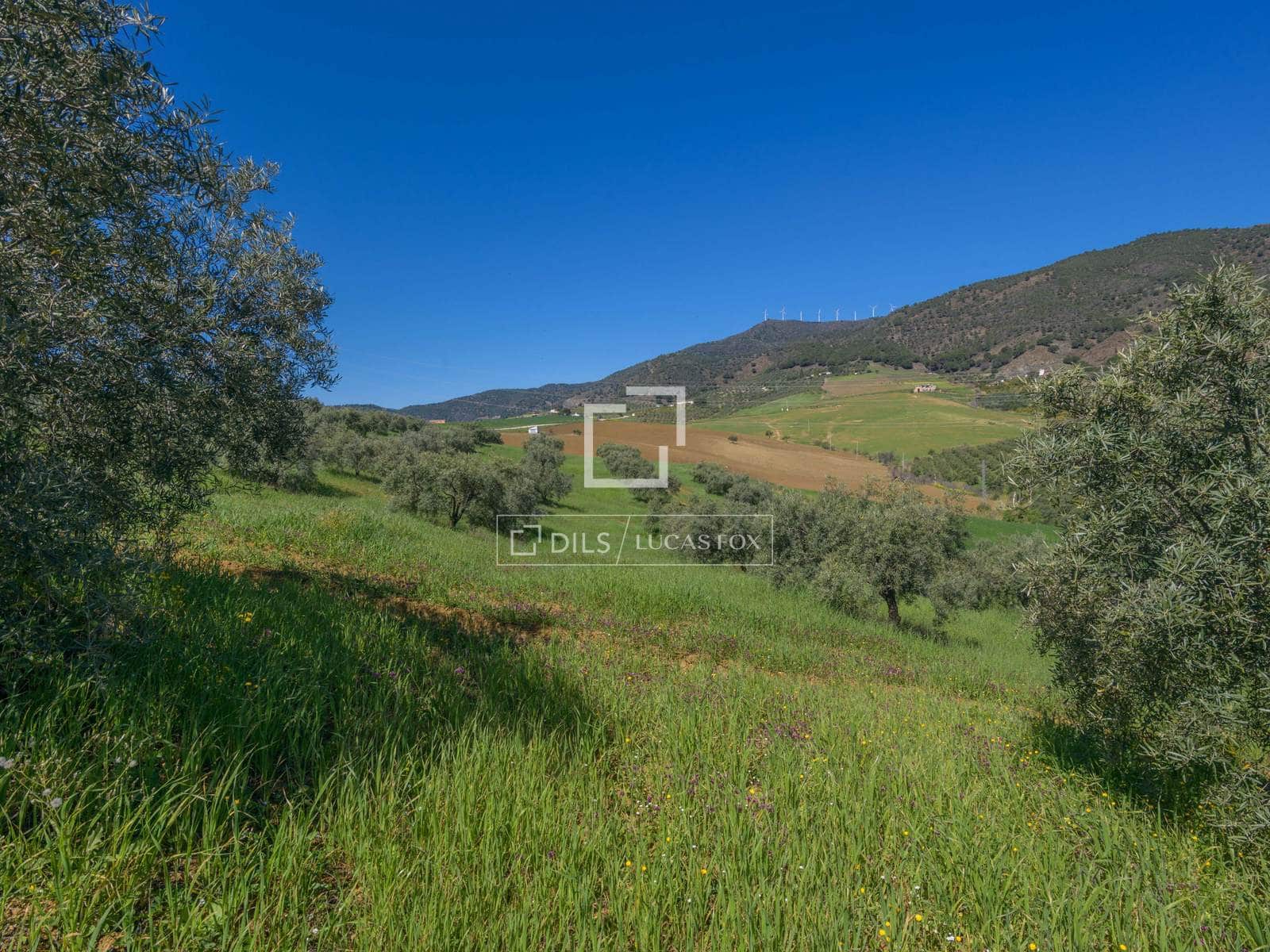 7 bedroom Finca/Country House for sale in Alora with pool garage - € 1,290,000 (Ref: 9781331)