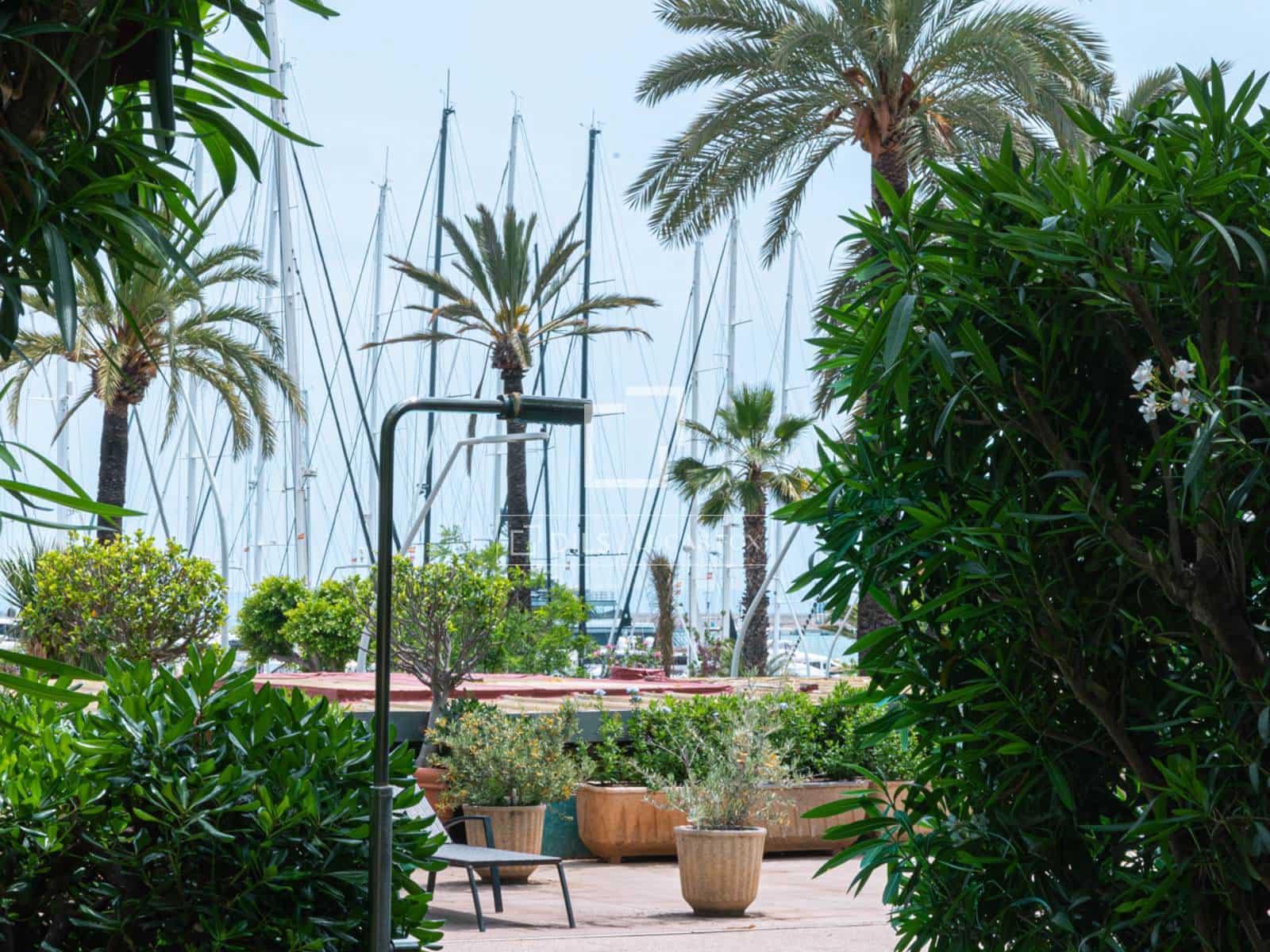 5 sypialnia Apartament do wynajęcia w Palma de Mallorca z basenem garażem - 6 000 € (Ref: 9787660)