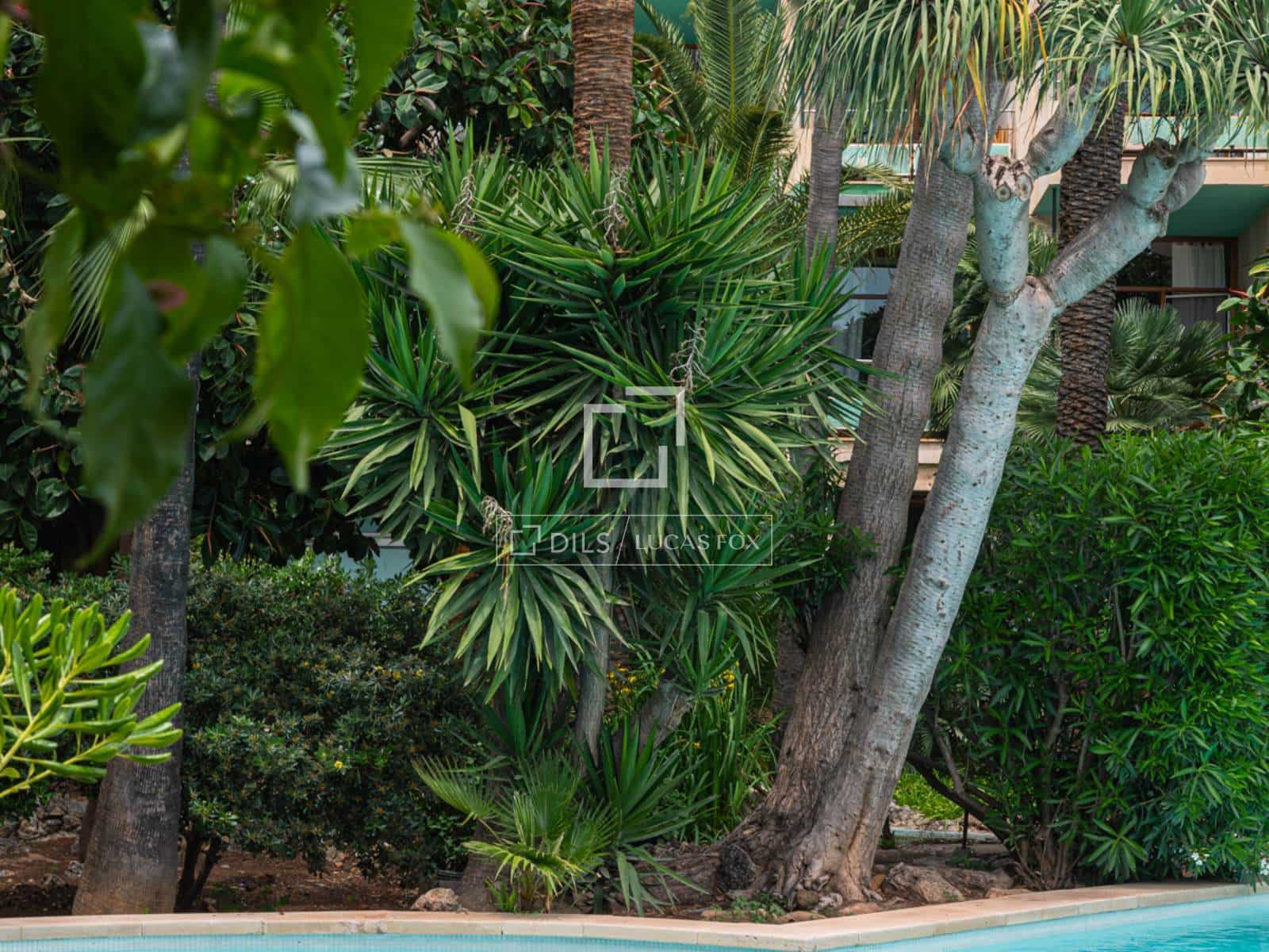 5 sypialnia Apartament do wynajęcia w Palma de Mallorca z basenem garażem - 6 000 € (Ref: 9787660)