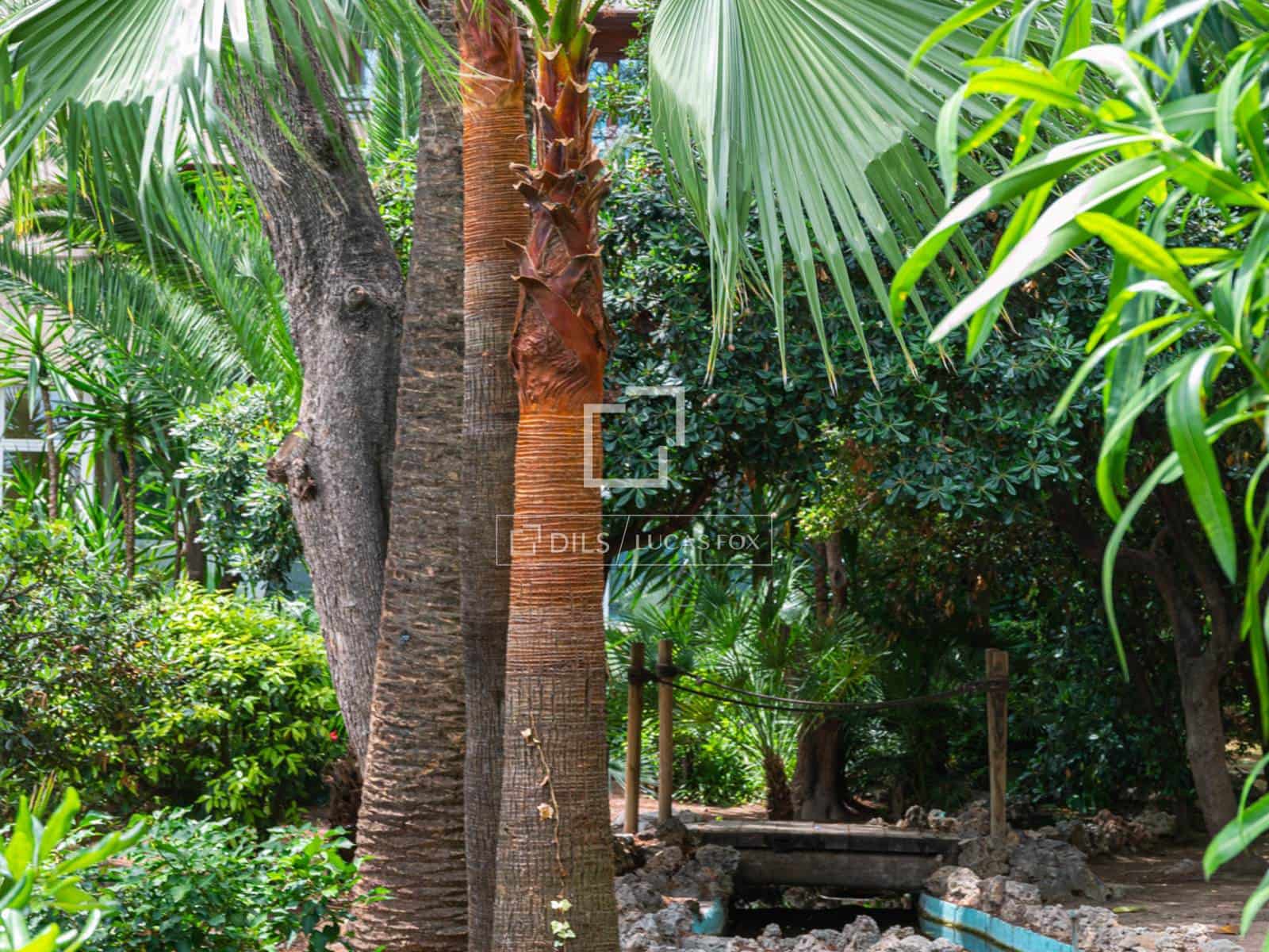 5 sypialnia Apartament do wynajęcia w Palma de Mallorca z basenem garażem - 6 000 € (Ref: 9787660)