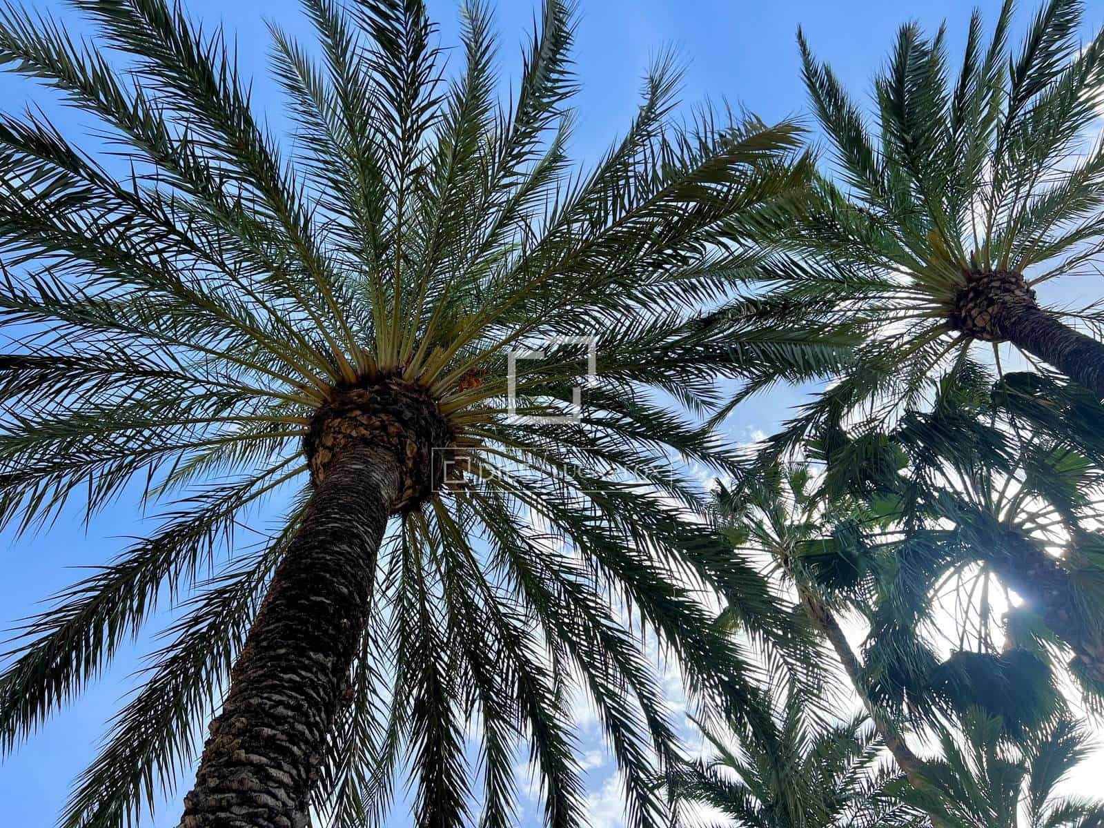 1 slaapkamer Appartement te koop in Alicante stad met zwembad - € 179.000 (Ref: 9793641)