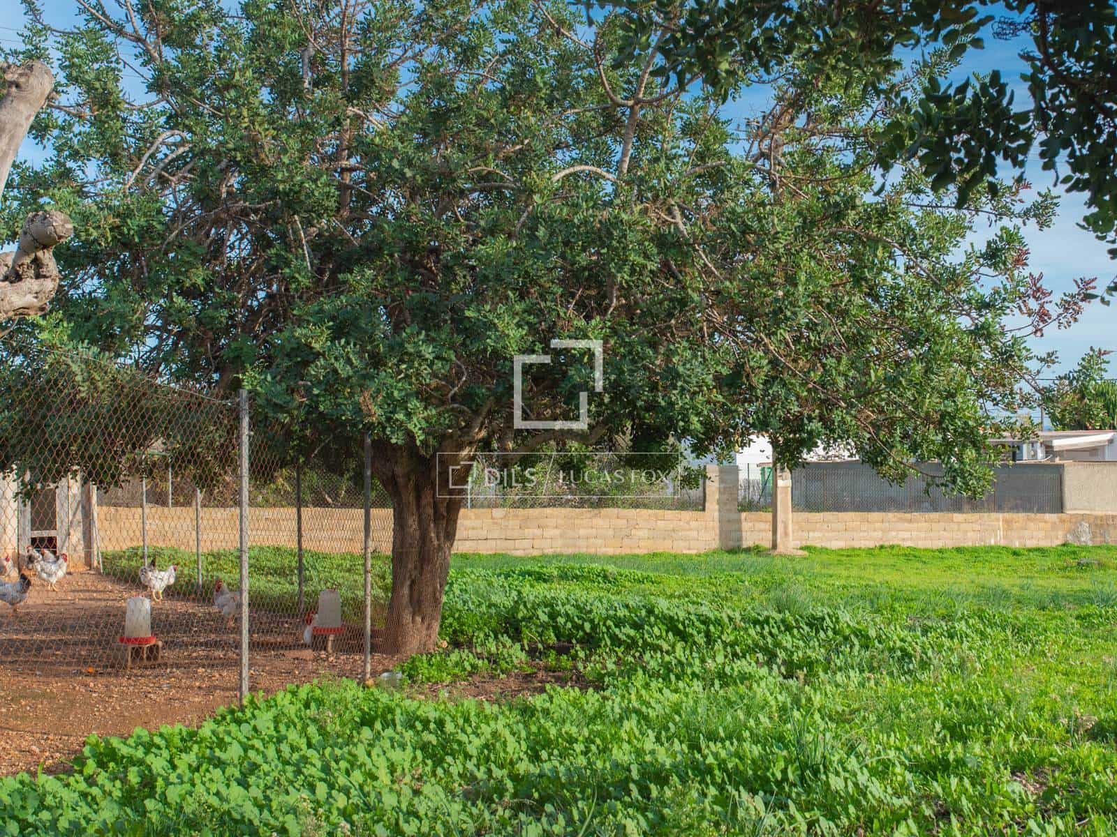 4 chambre Villa/Maison à vendre à Ibiza ville avec garage - 1 850 000 € (Ref: 9809777)