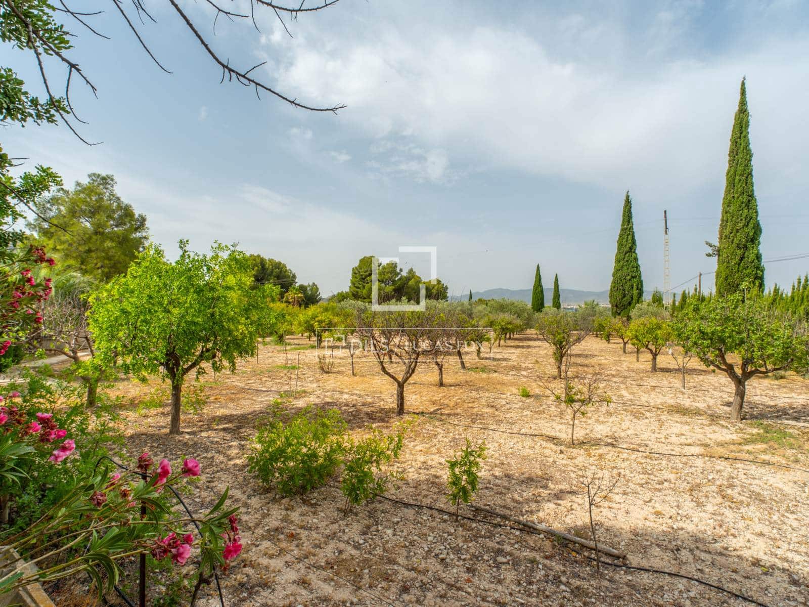 13 camera da letto Finca/Casa di Campagna in vendita in Elda con piscina garage - 899.000 € (Rif: 9815004)