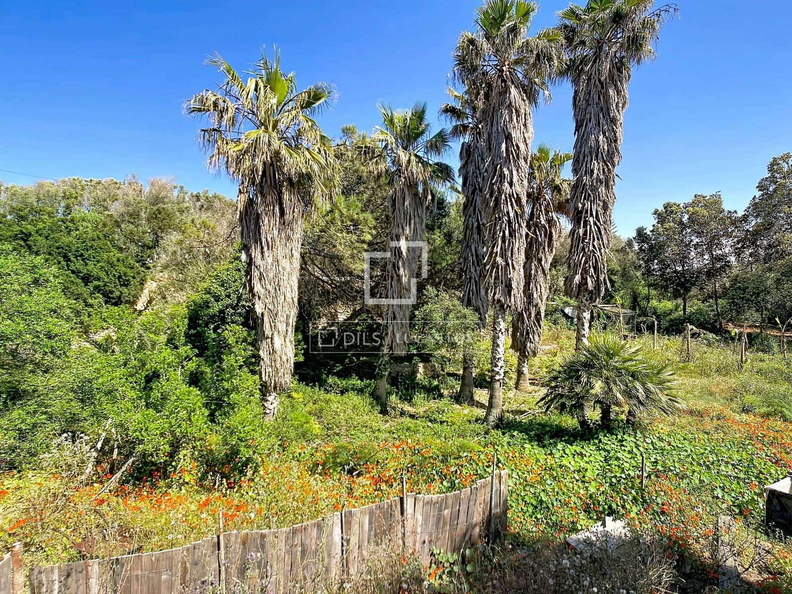 3 bedroom Finca/Country House for sale in Ciutadella de Menorca with pool garage - € 995,000 (Ref: 9838505)