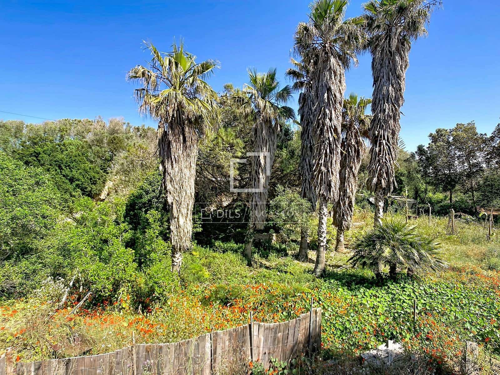 3 bedroom Finca/Country House for sale in Ciutadella de Menorca with pool garage - € 995,000 (Ref: 9838505)