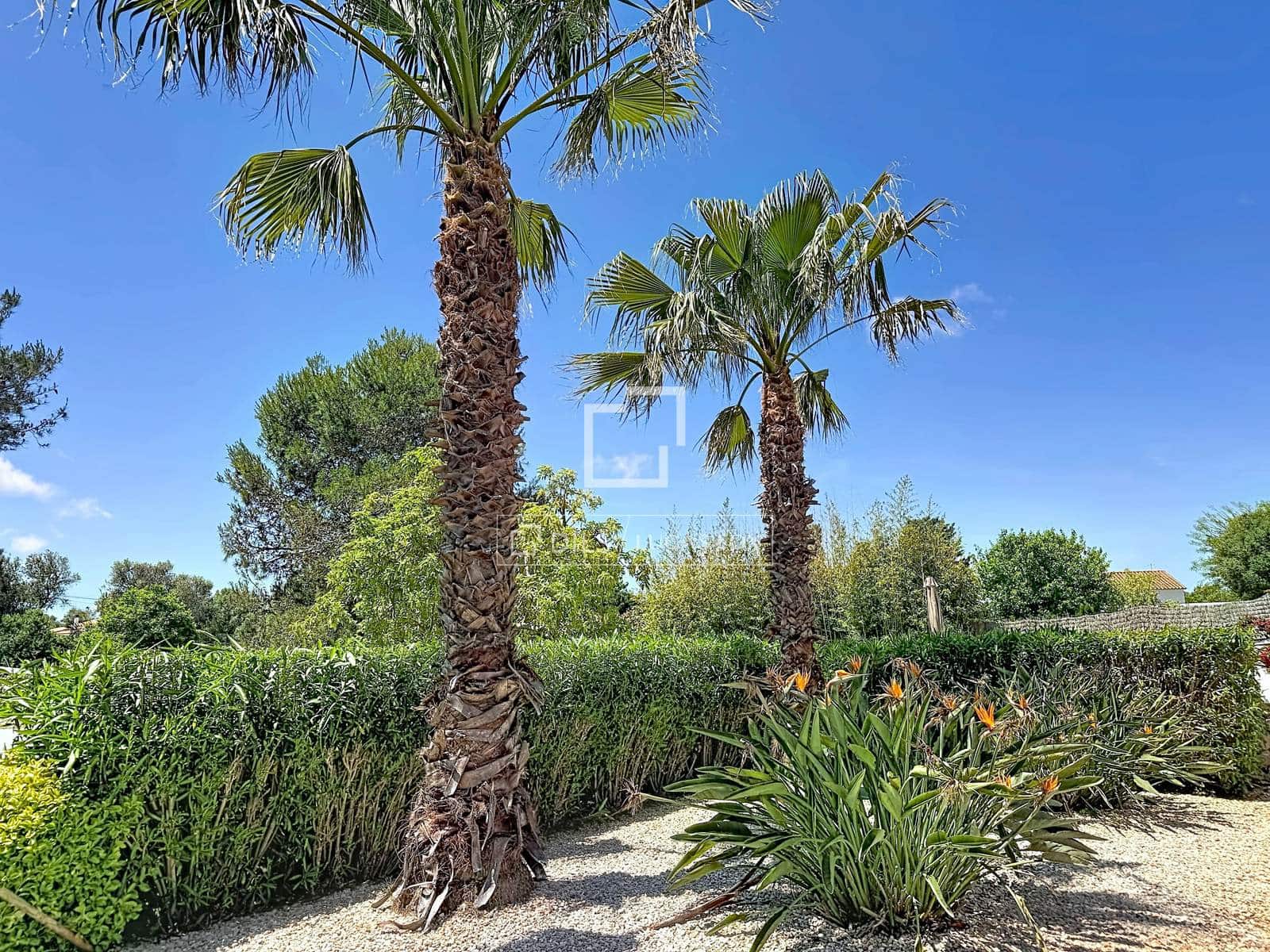 5 soveværelse Villa til salg i Alayor / Alaior med swimmingpool - € 980.000 (Ref: 9850054)