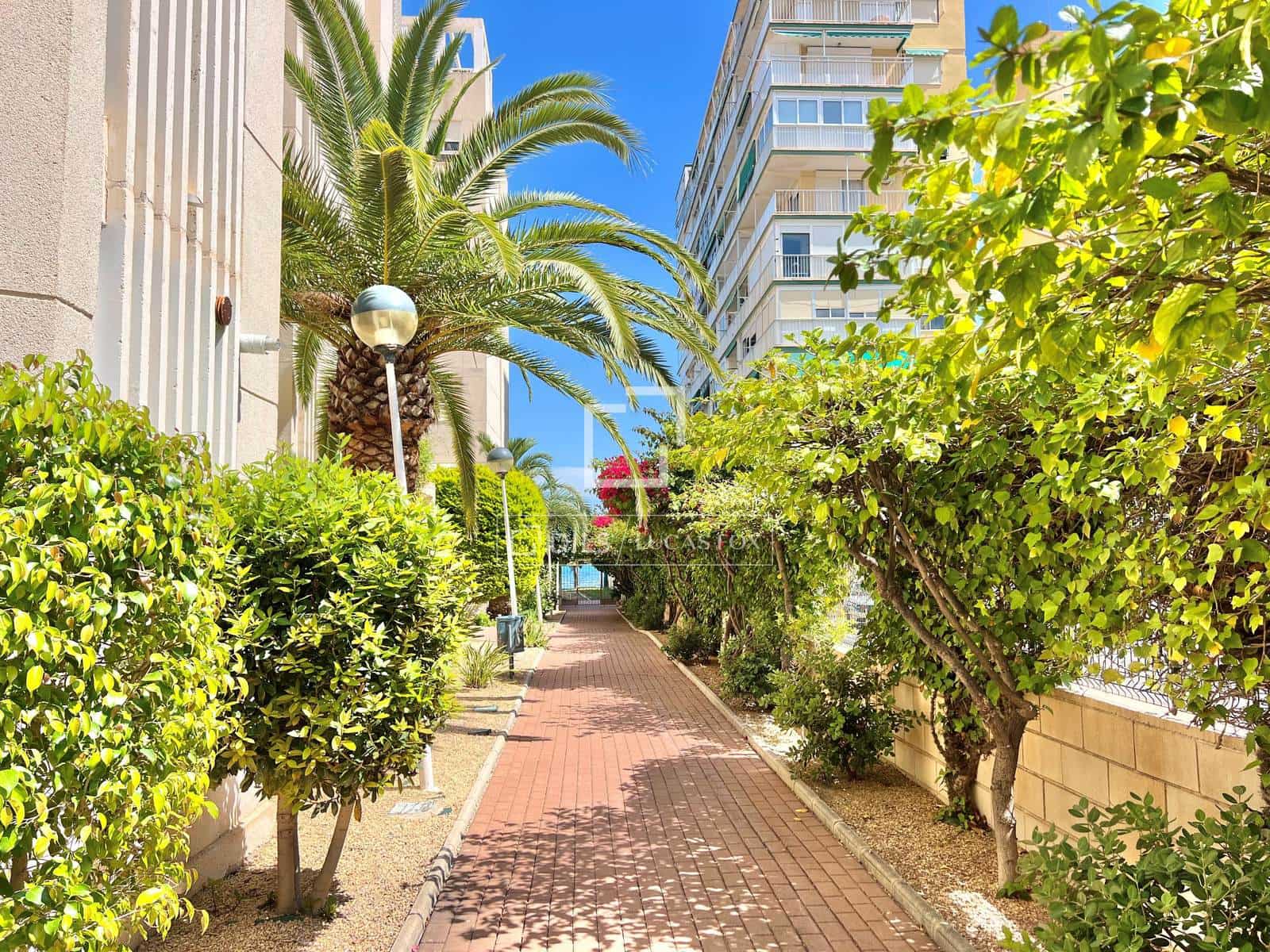 3 bedroom Apartment for rent in San Juan de Alicante / Sant Joan d'Alacant with pool - € 1,800 (Ref: 9854677)