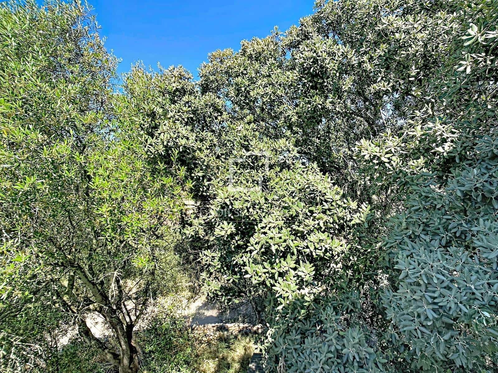 8 slaapkamer Finca/Landhuis te koop in Ciutadella de Menorca met garage - € 4.200.000 (Ref: 9866038)
