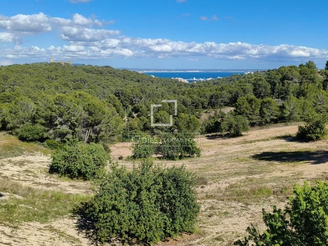 4 slaapkamer Villa te koop in Palma de Mallorca met zwembad garage - € 2.500.000 (Ref: 9879997)