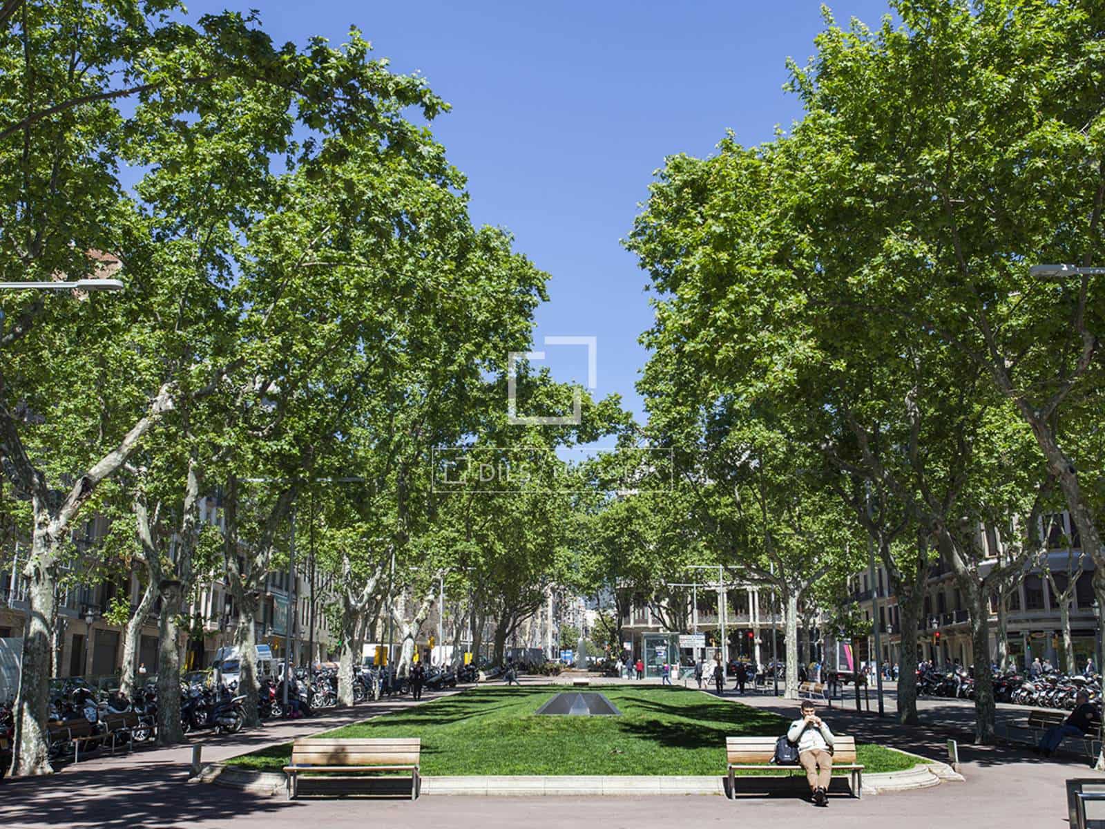 Lägenhet att hyra i Barcelona stad - 1 800 € (Ref: 9879998)