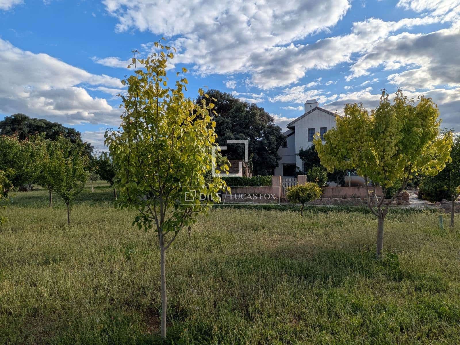 5 chambre Finca/Maison de Campagne à vendre à Malpica de Tajo avec piscine garage - 1 850 000 € (Ref: 9891142)