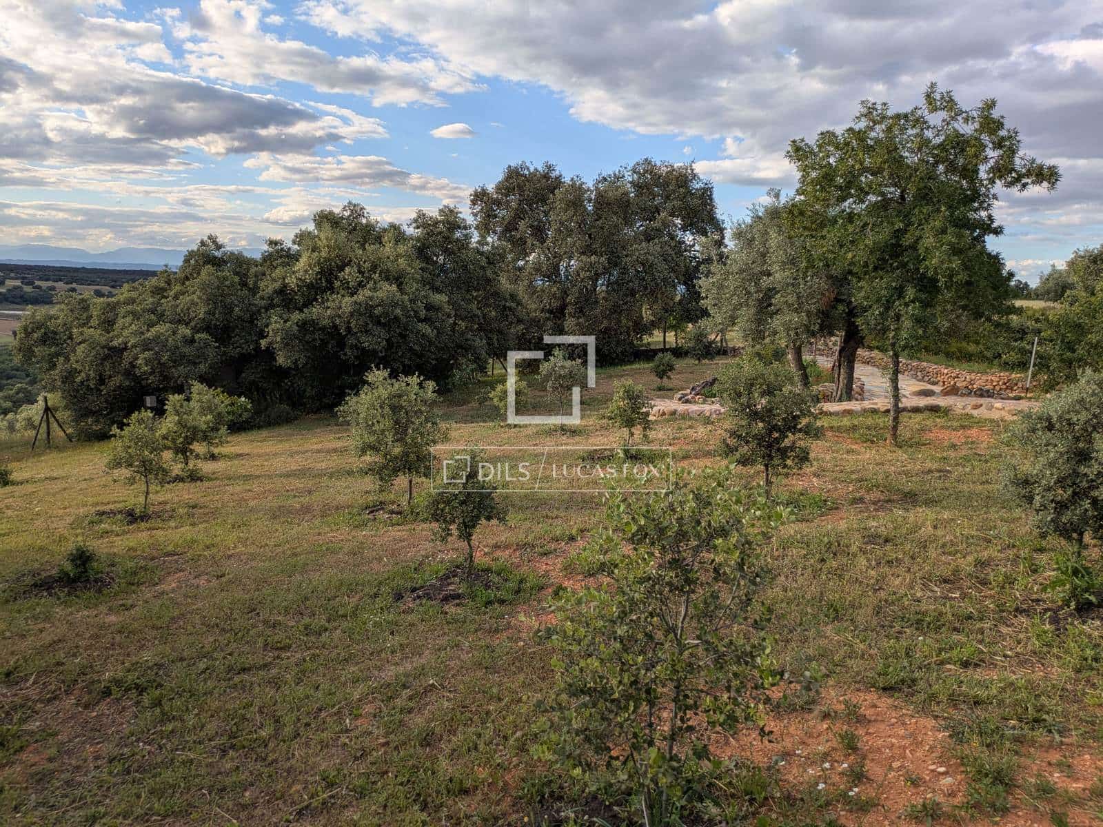 5 chambre Finca/Maison de Campagne à vendre à Malpica de Tajo avec piscine garage - 1 850 000 € (Ref: 9891142)