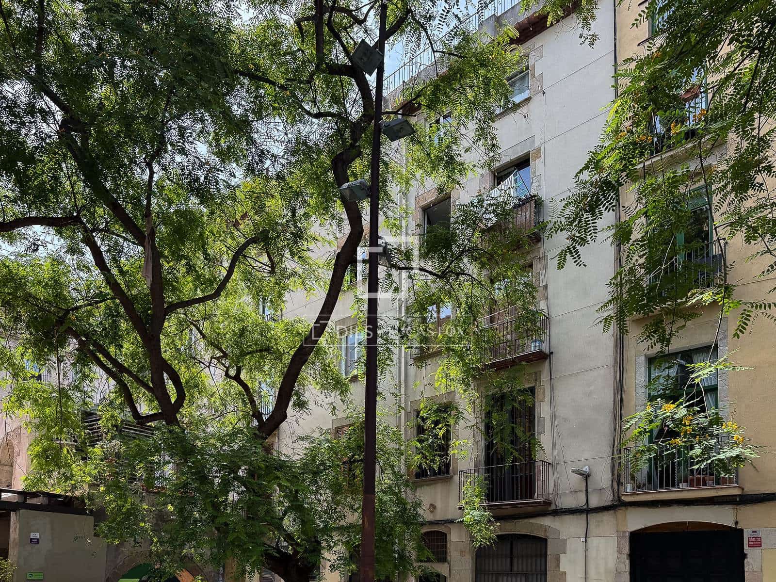 1 Zimmer Apartment zu verkaufen in Barcelona Stadt - 395.000 € (Ref: 9911820)
