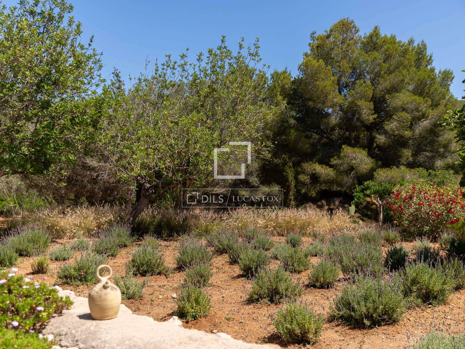 5 slaapkamer Finca/Landhuis te koop in Roca Llisa met zwembad - € 4.995.000 (Ref: 9918739)