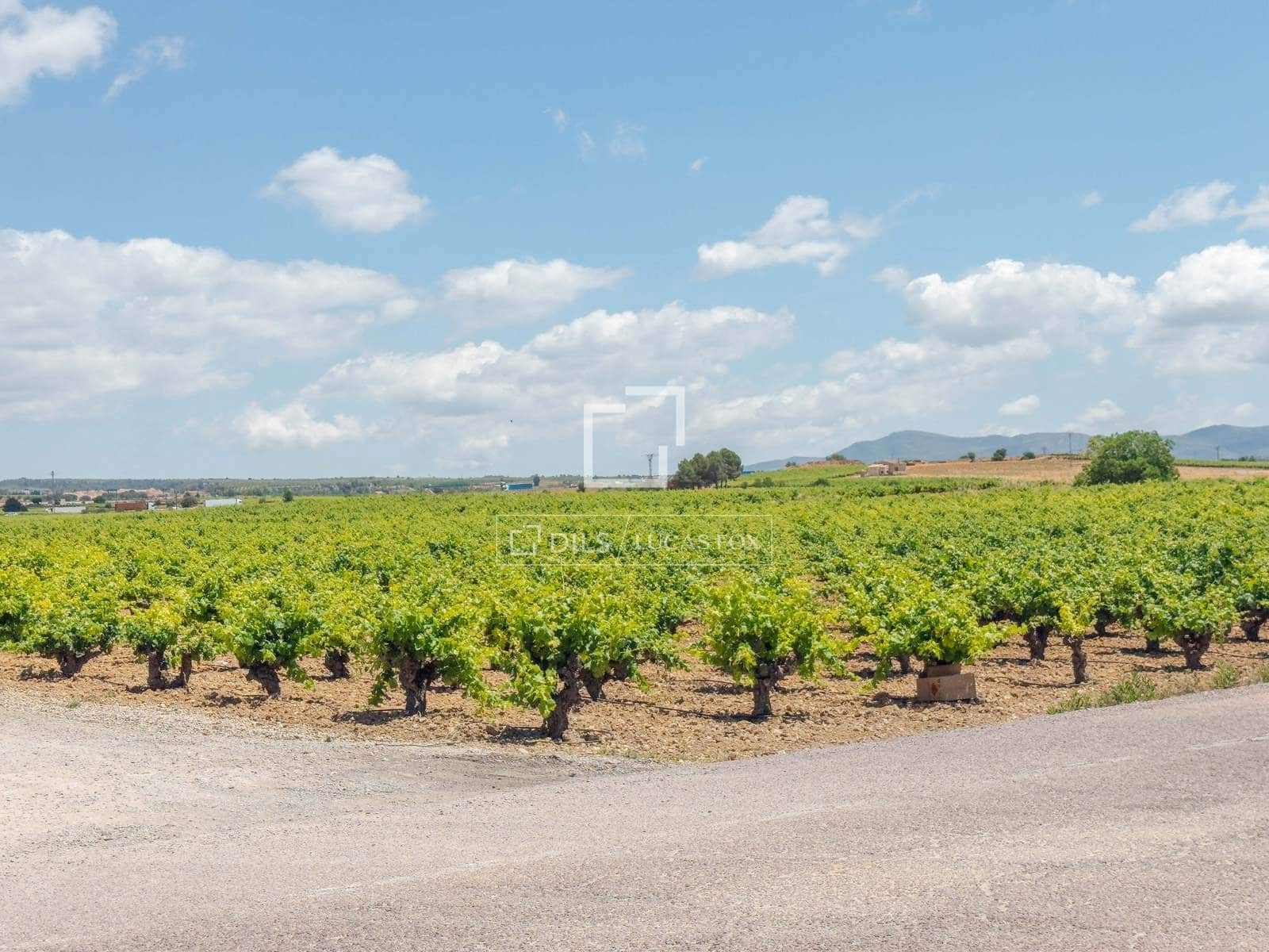 10 bedroom Finca/Country House for sale in Requena with pool garage - € 1,700,000 (Ref: 9928470)